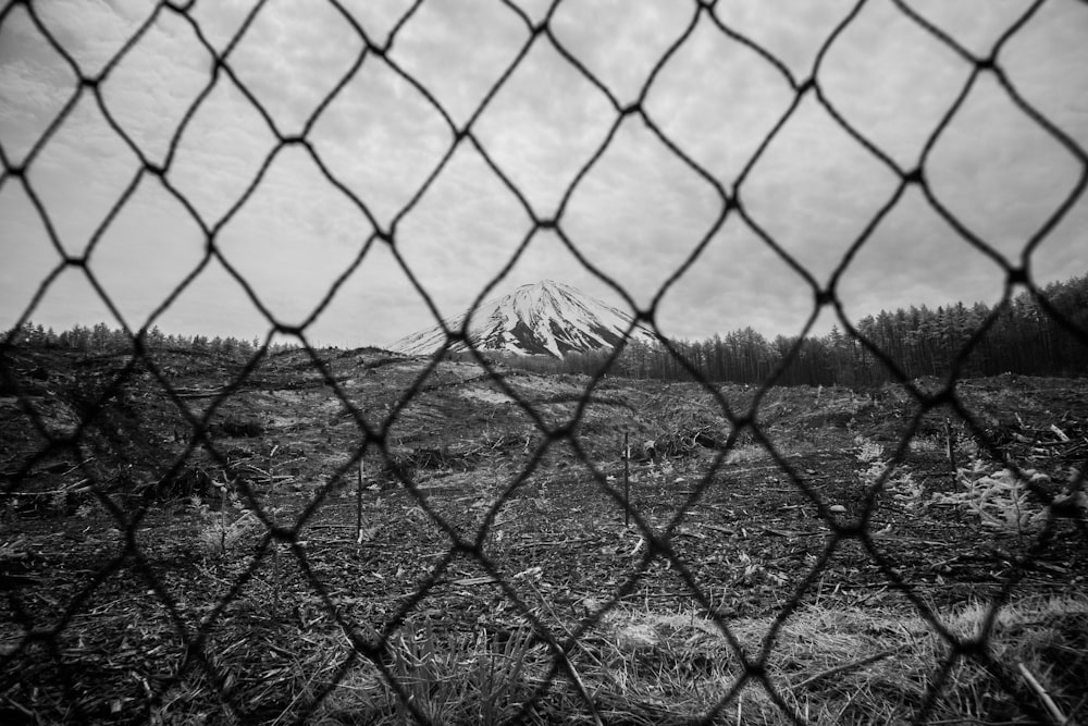 grayscale photo of chain link fence