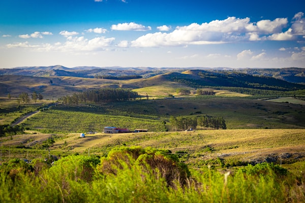 Optimal Weather for Visiting Uruguay: Ideal Seasons & Months