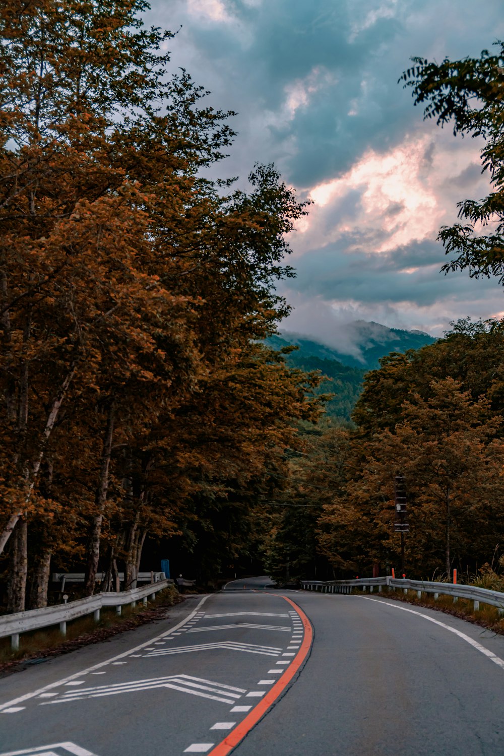 green and brown trees beside road under blue sky during daytime