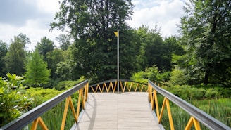 Choosing your path in supplement market