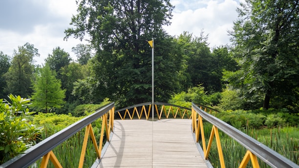 Choosing your path in supplement market