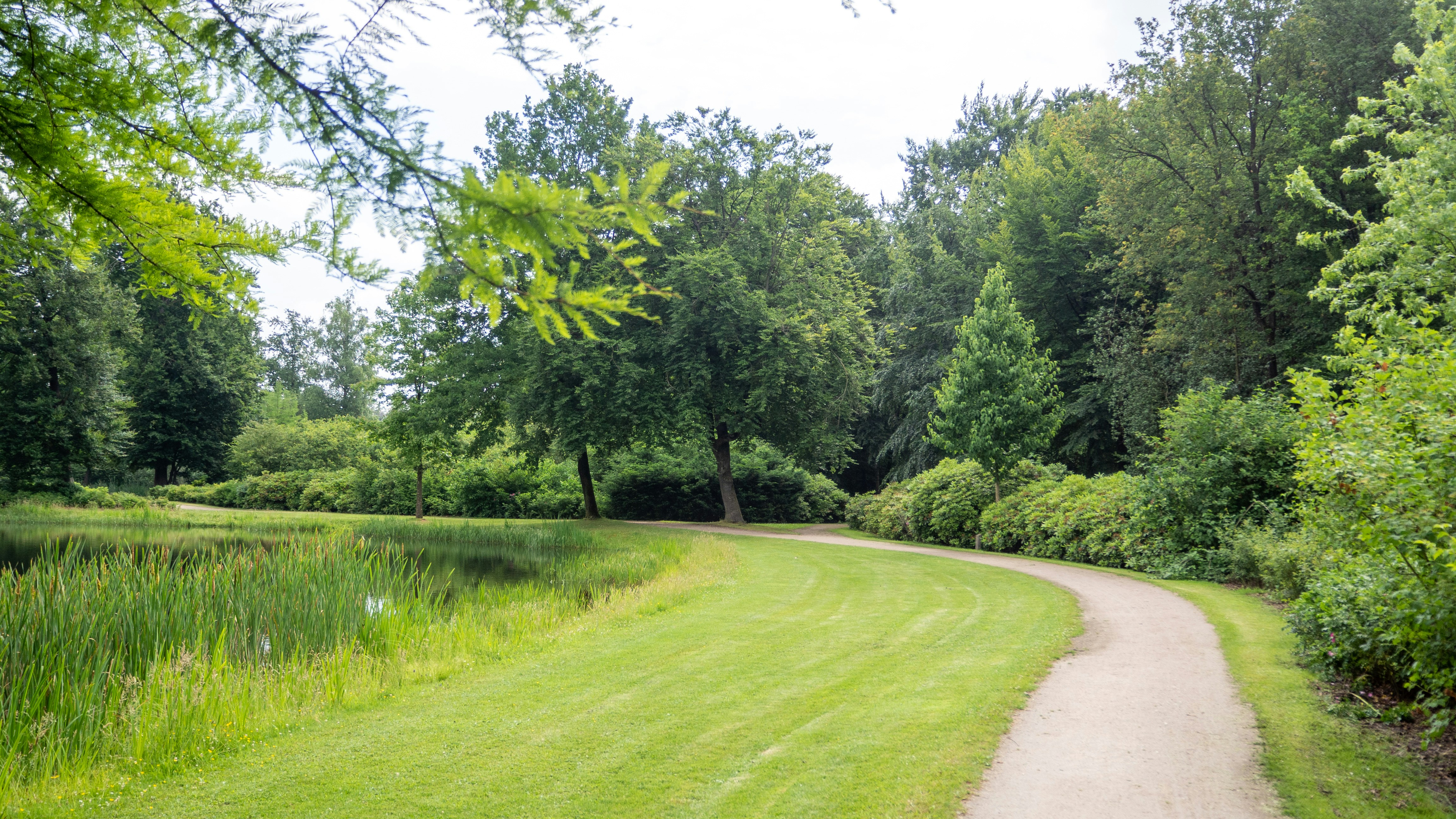 Photo by wimvanteinde