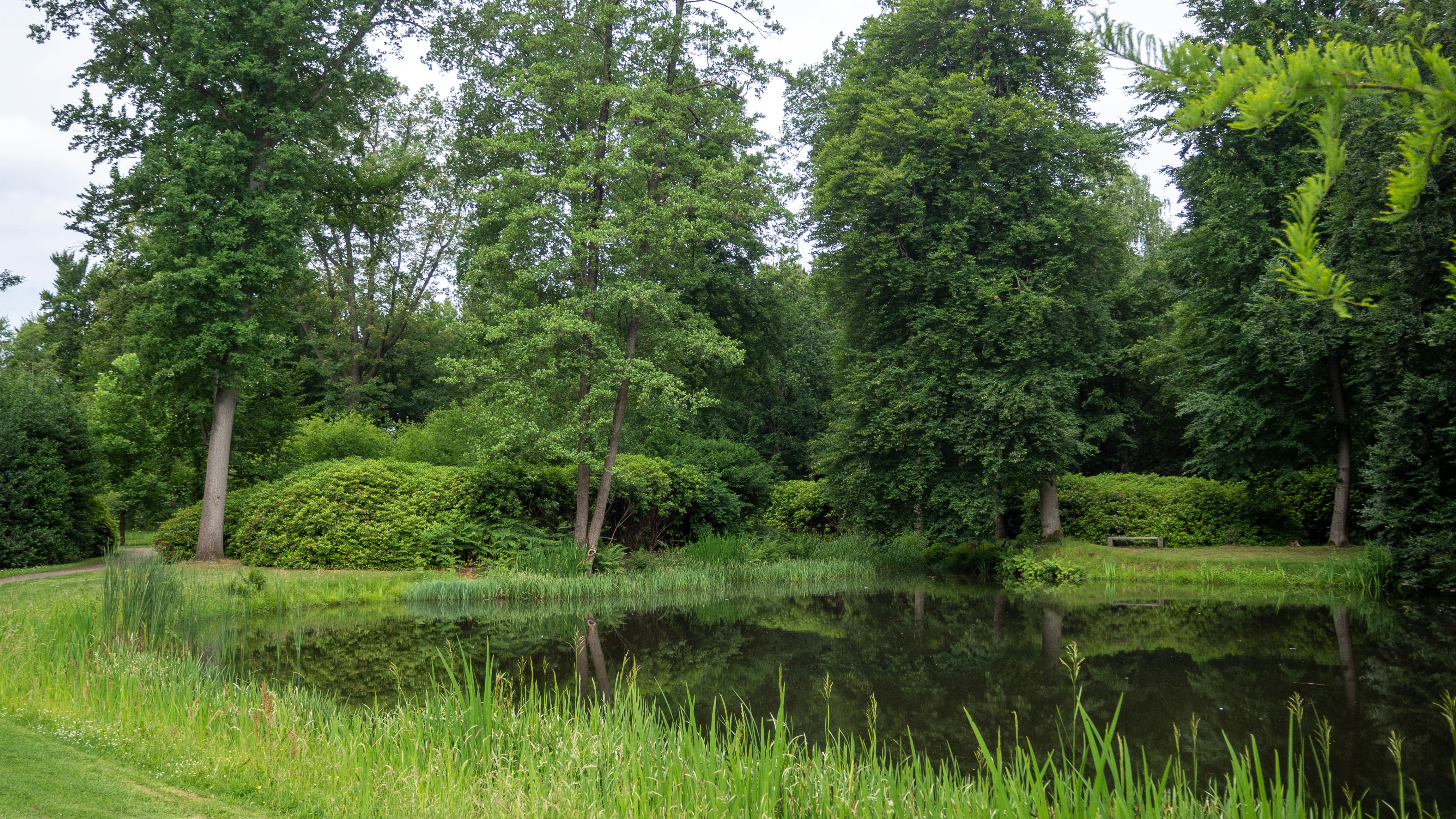 Photo by wimvanteinde