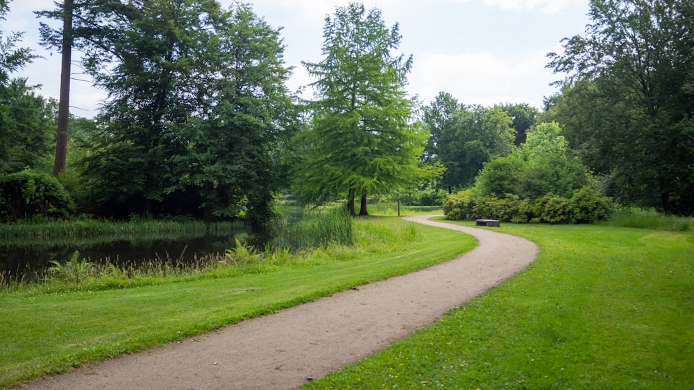 green grass field and trees during daytime