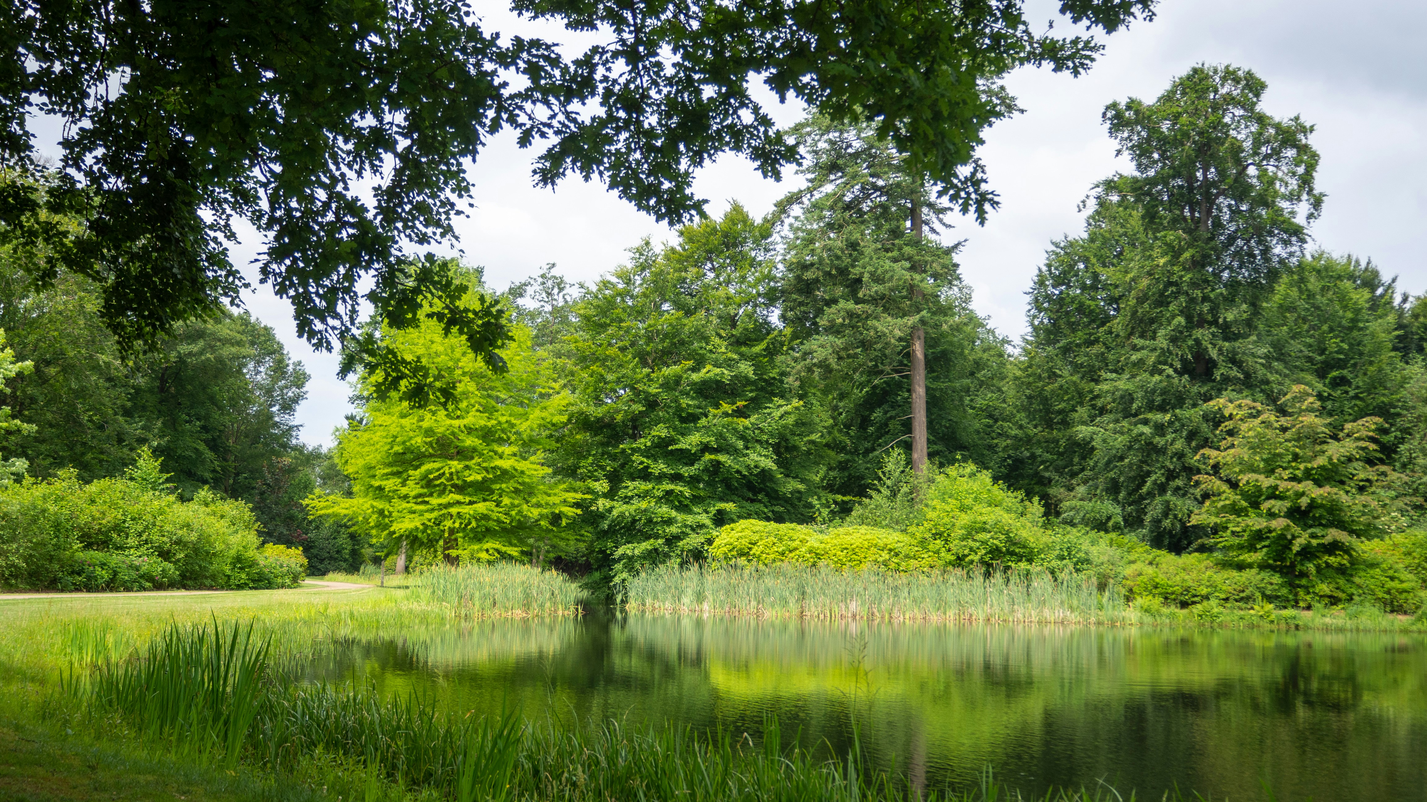 Photo by wimvanteinde