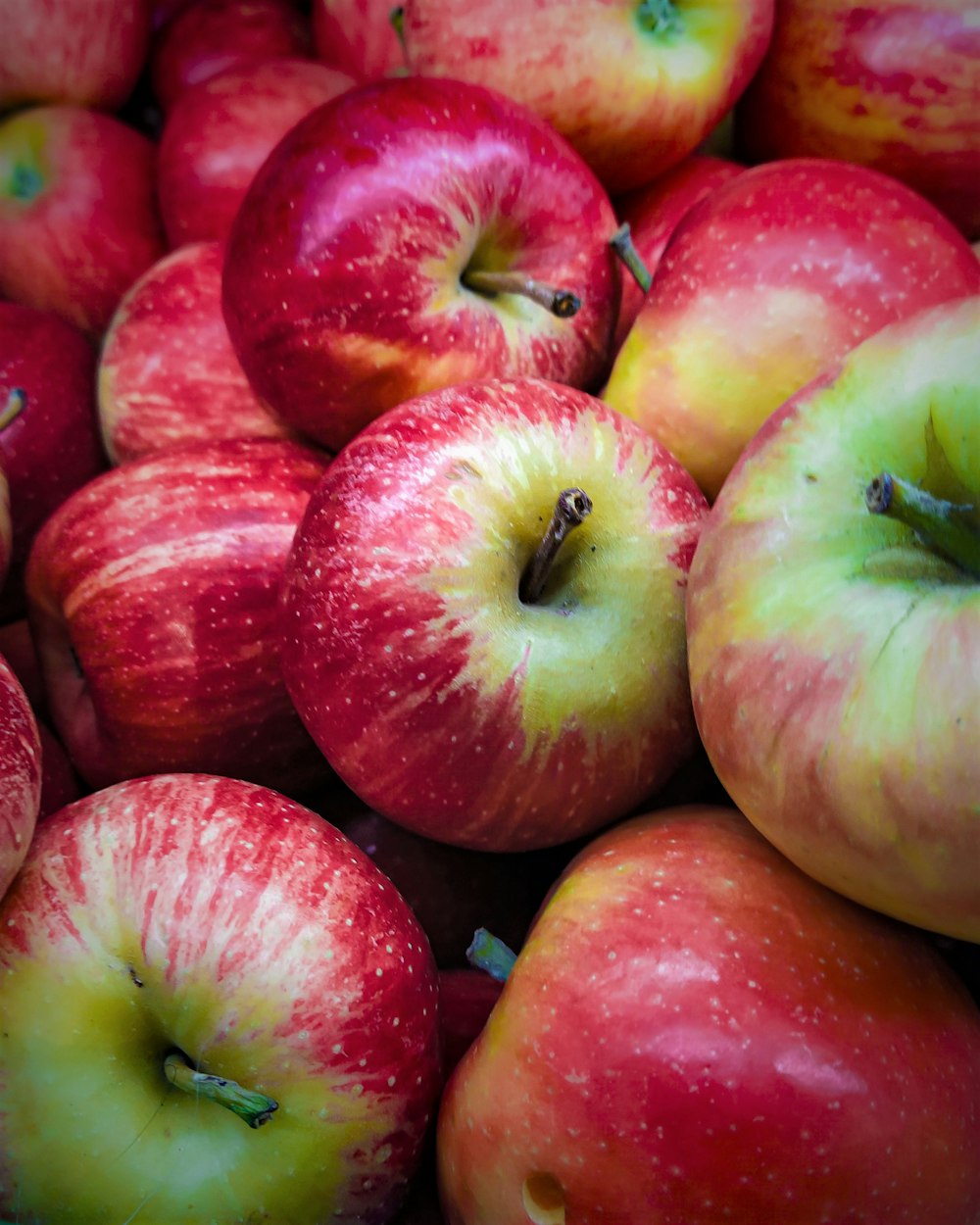 red apple fruit in close up photography