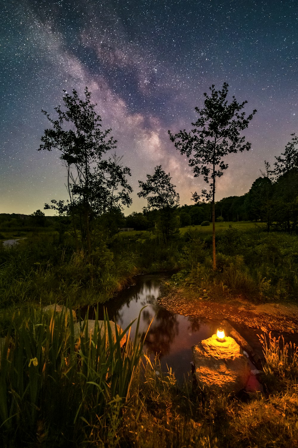 green grass field near body of water under blue sky during night time