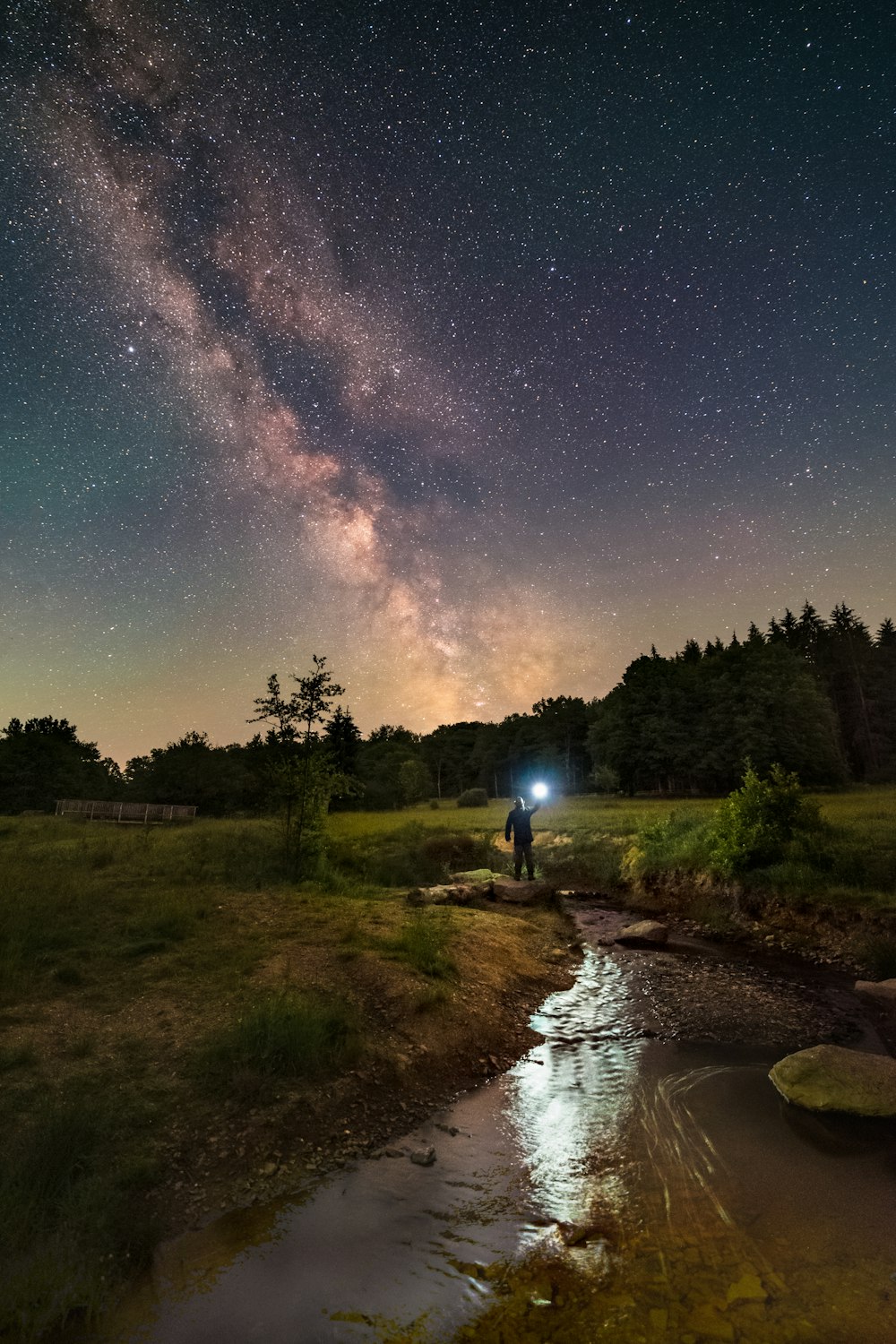 person standing on green grass field near river during night time