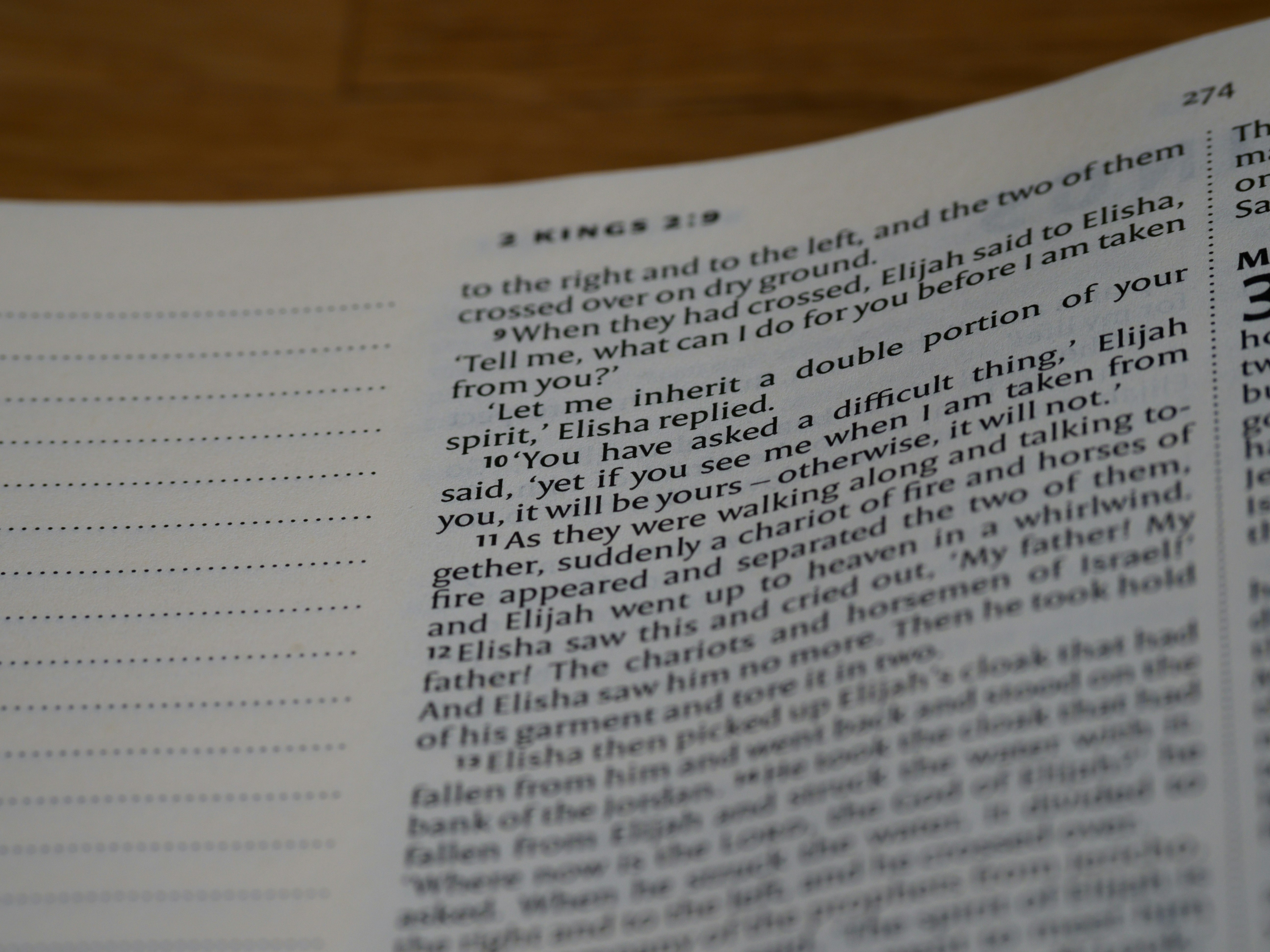 Photo by brett_jordan