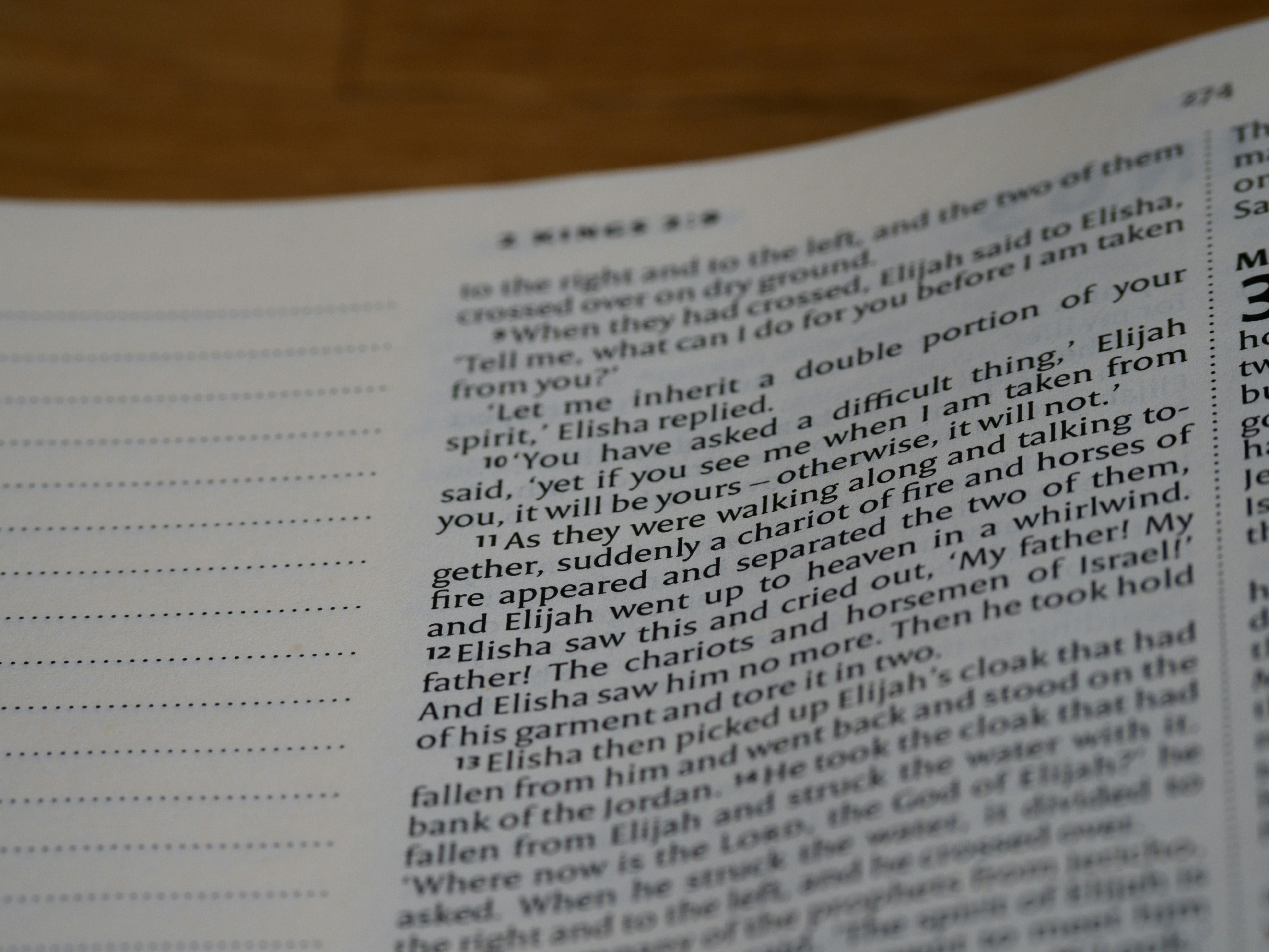 Photo by brett_jordan