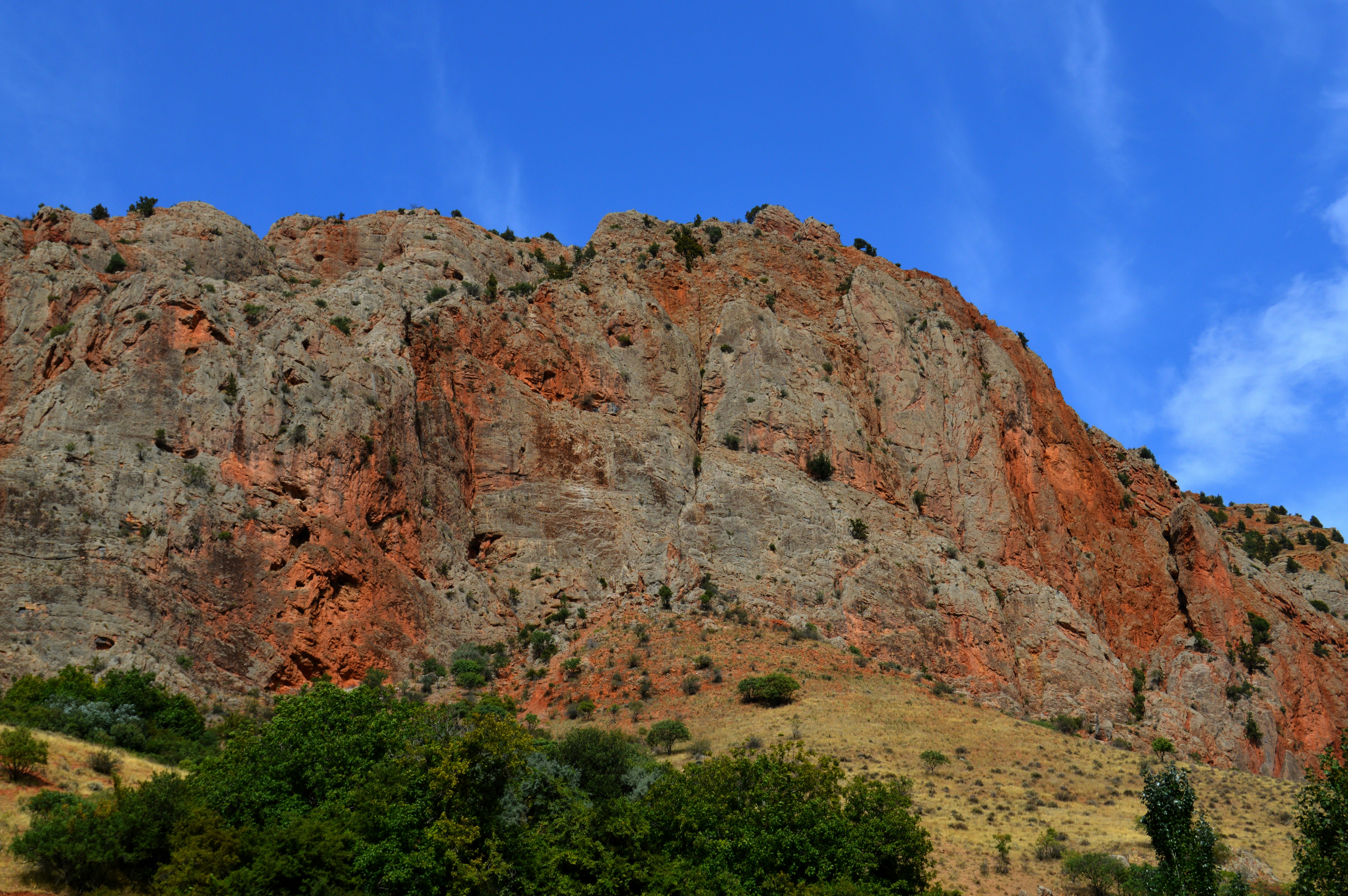 Photo by robertlevonyan