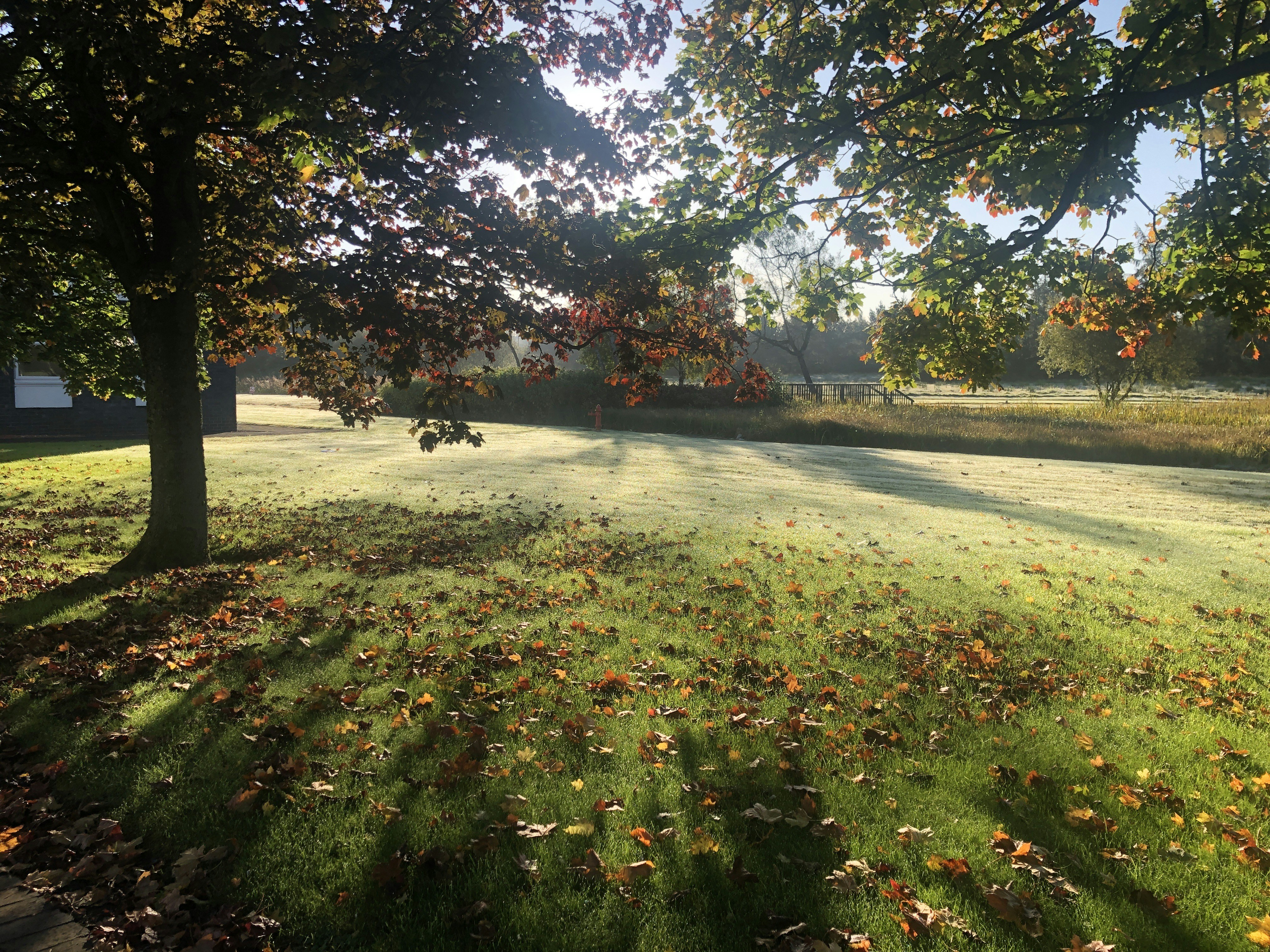 Photo by roygrant2005