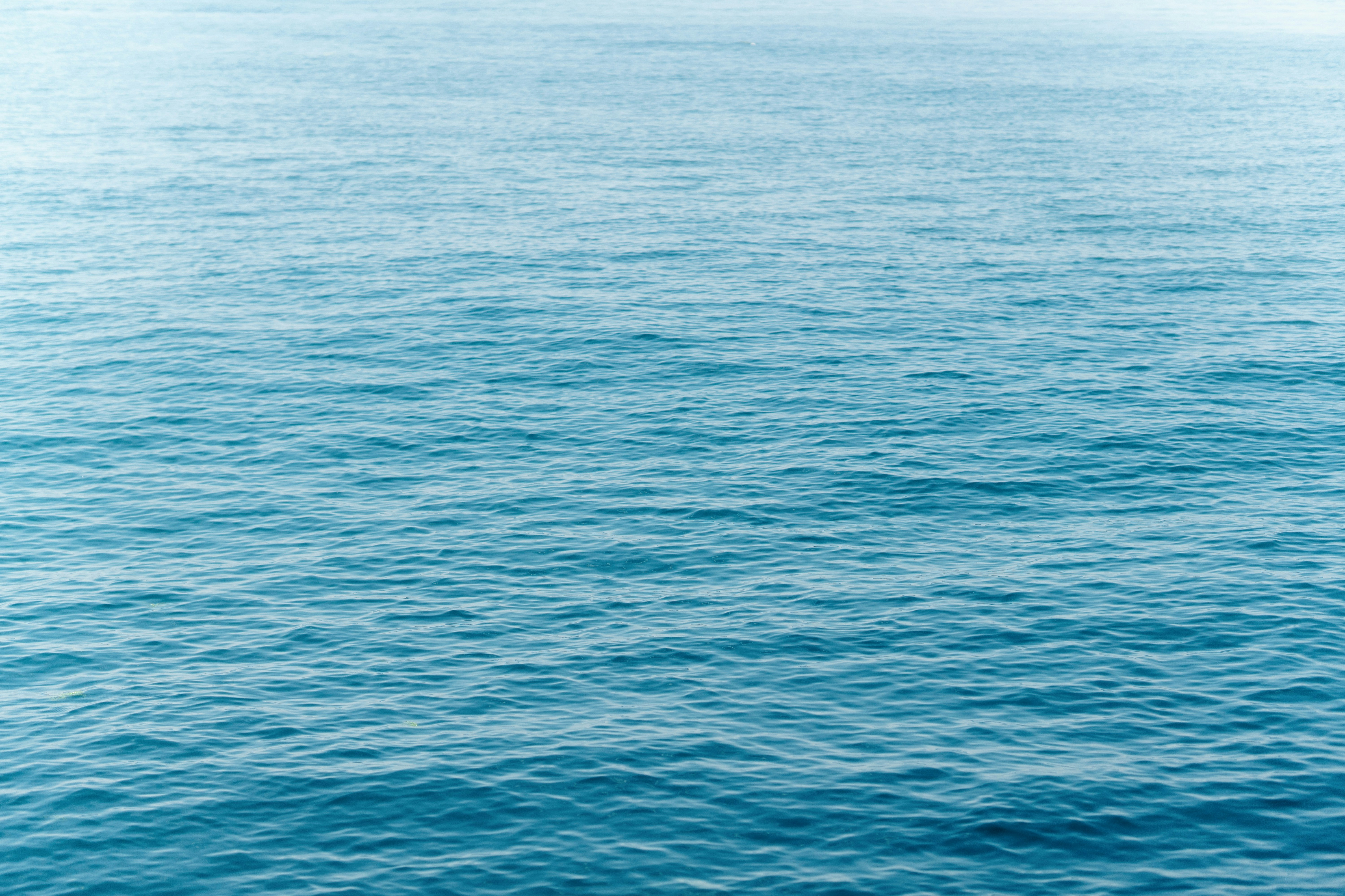 Sea