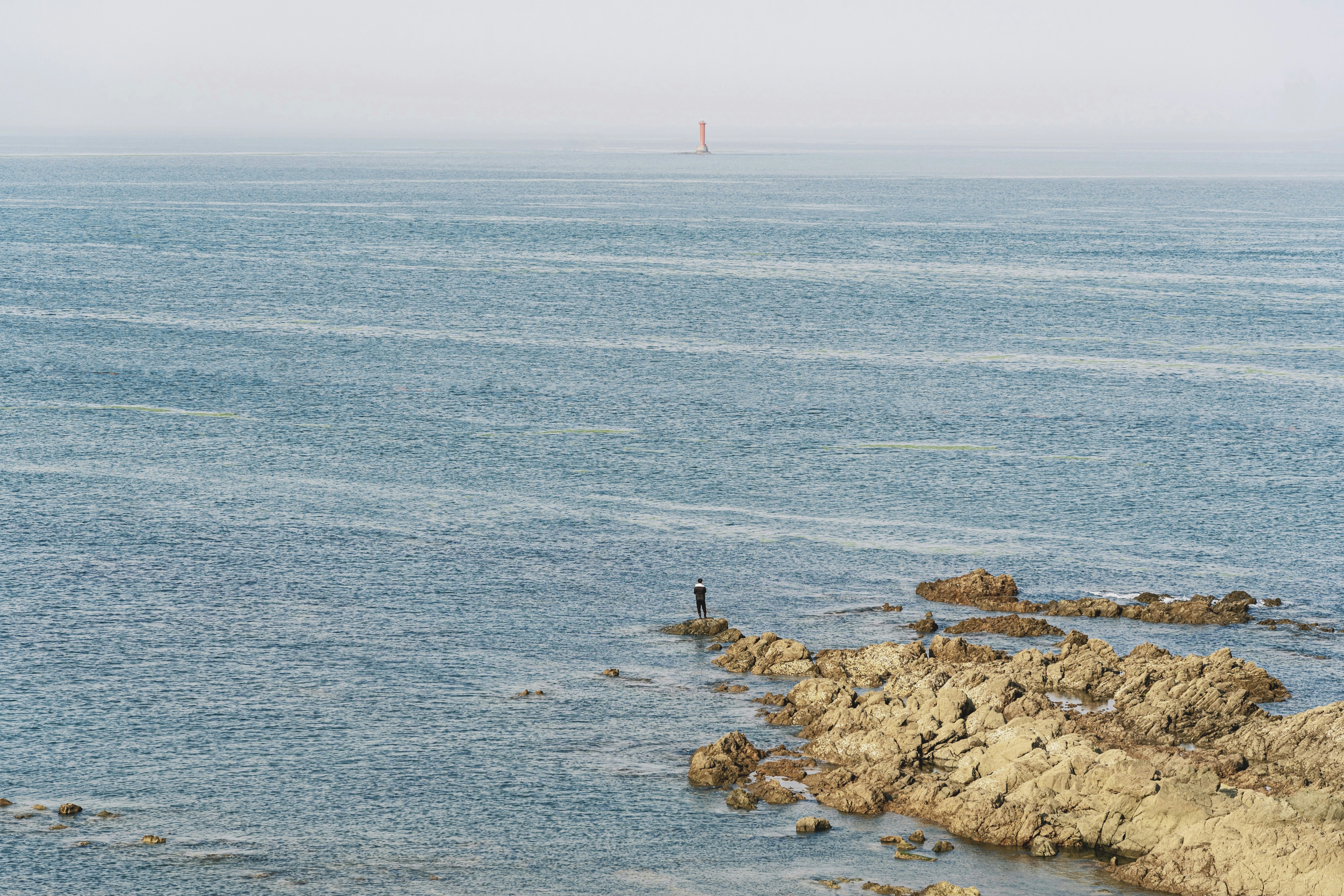平板海运拼箱进口香港运输风险评估