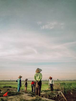 A group of farmers and herders working together in a lush green African field under a clear sky.