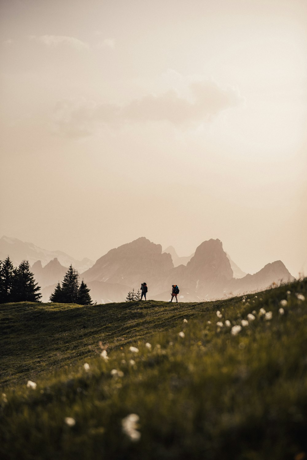 silhouette de personnes marchant sur le champ d’herbe verte pendant la journée