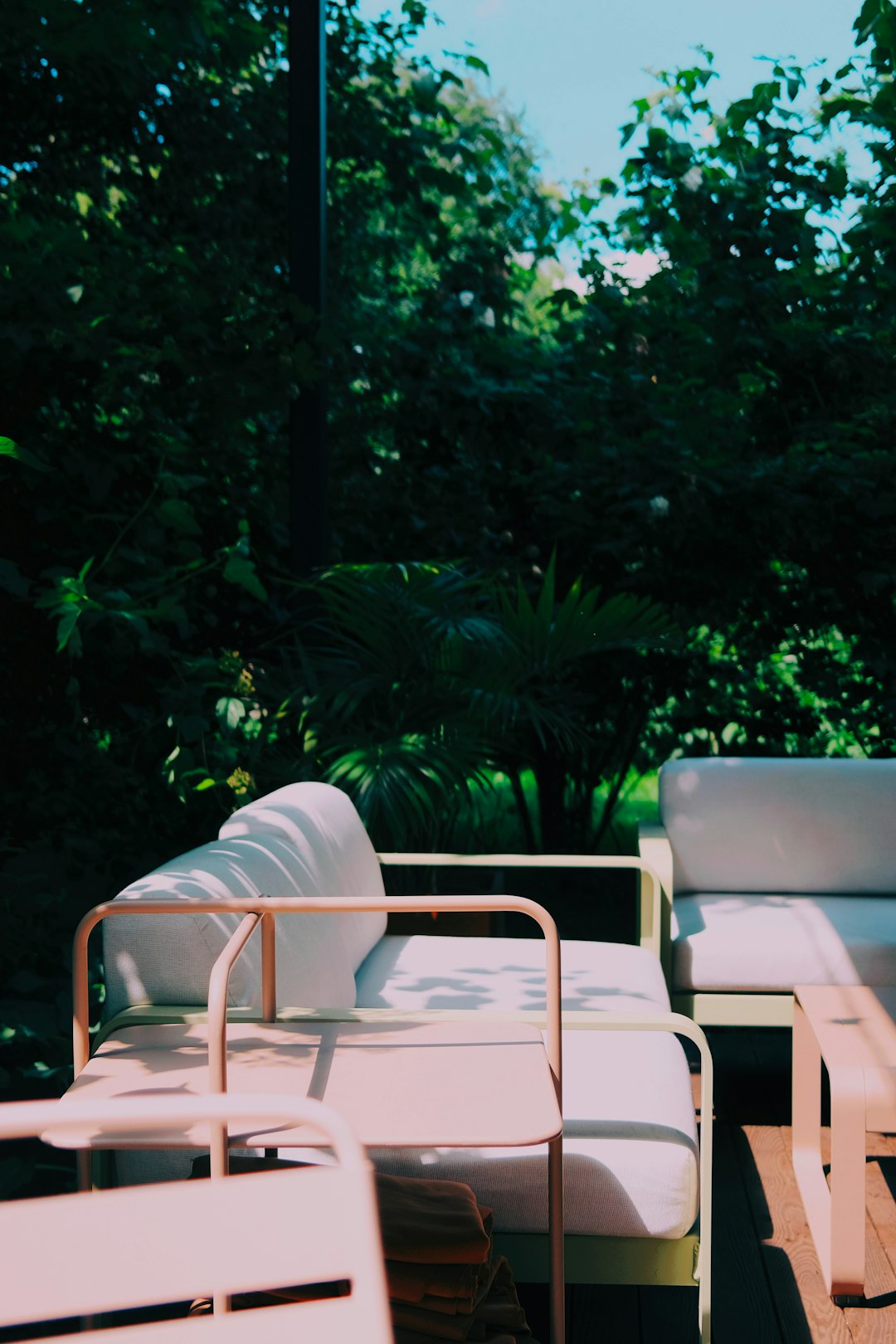 white leather padded chair near green leaf tree during daytime