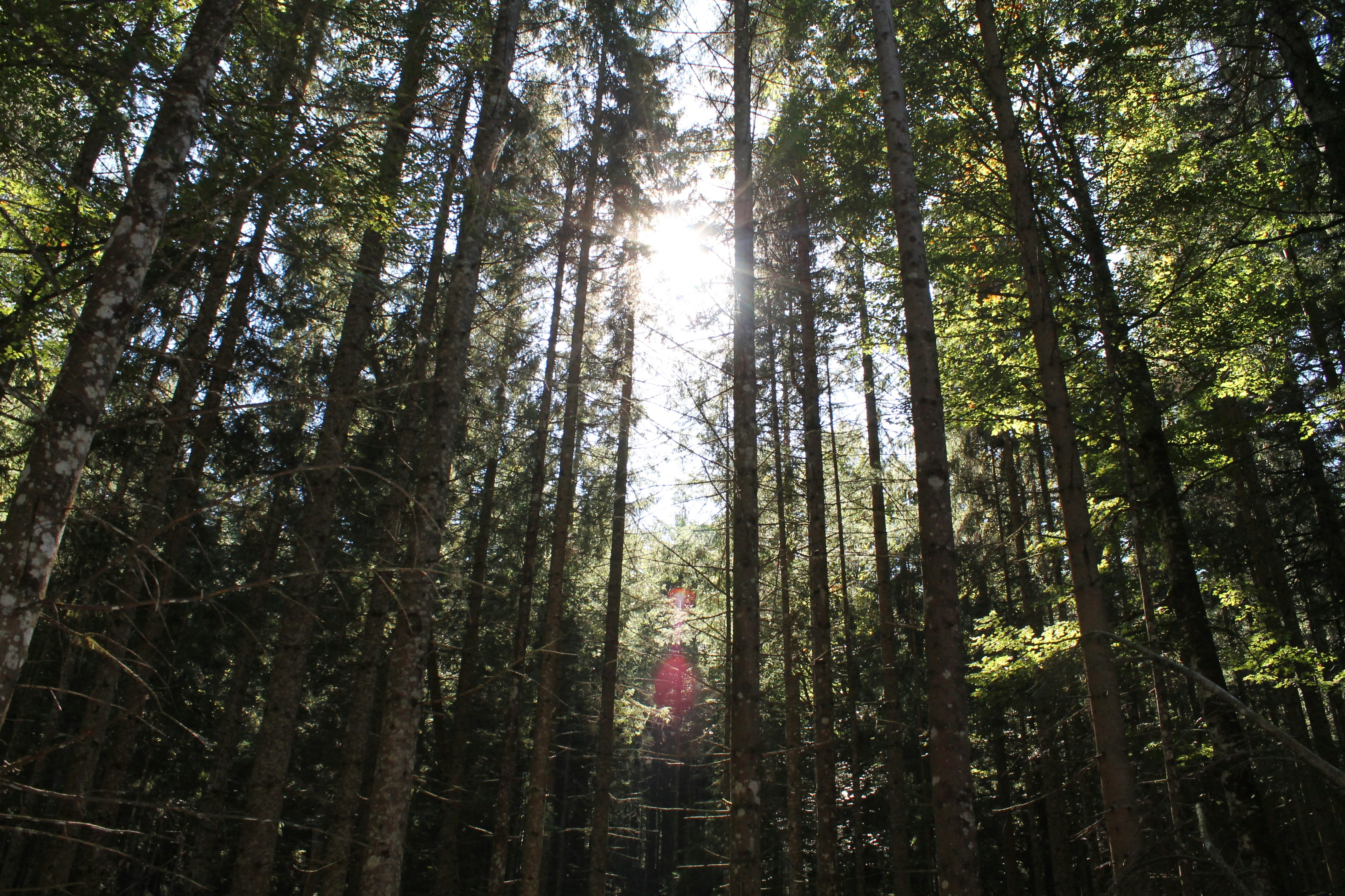 Photo by danni_brehme