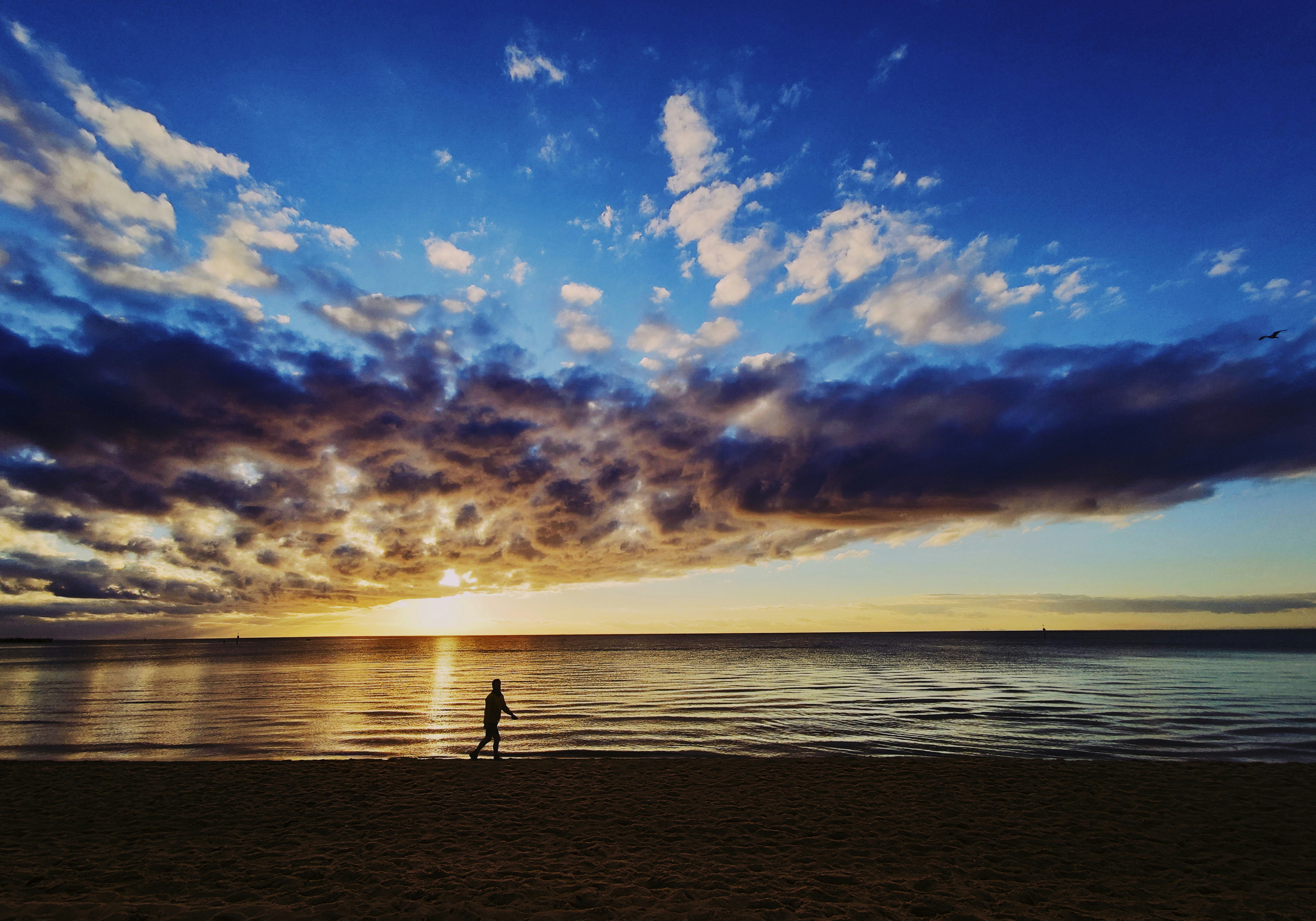 silhouette of person walking on beach during sunset