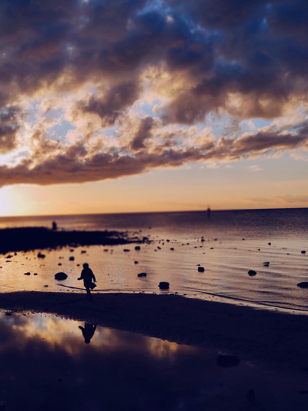 silhouette of people on beach during sunset