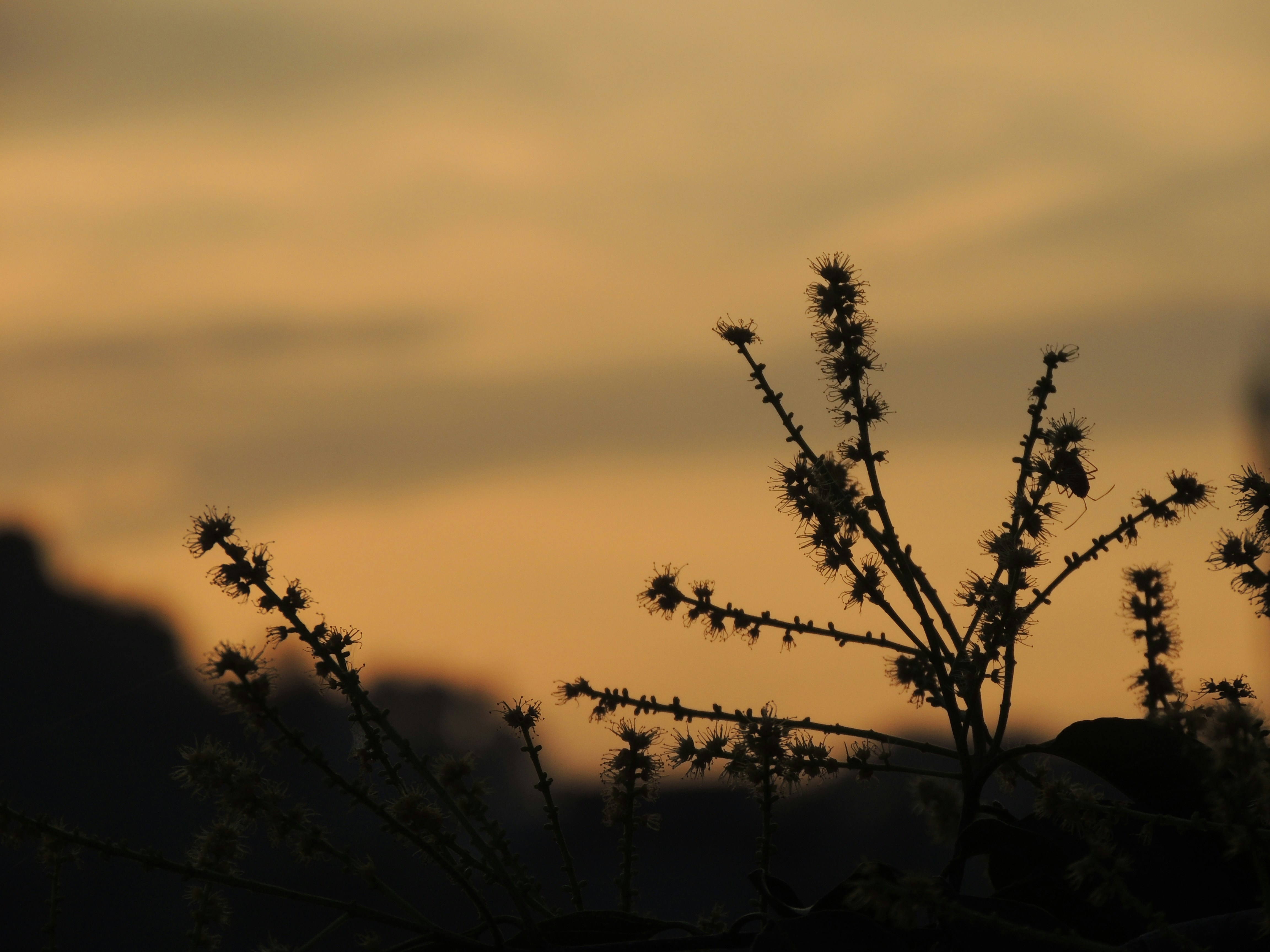 Photo by bhargavidutta528