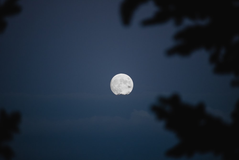 full moon over silhouette of trees