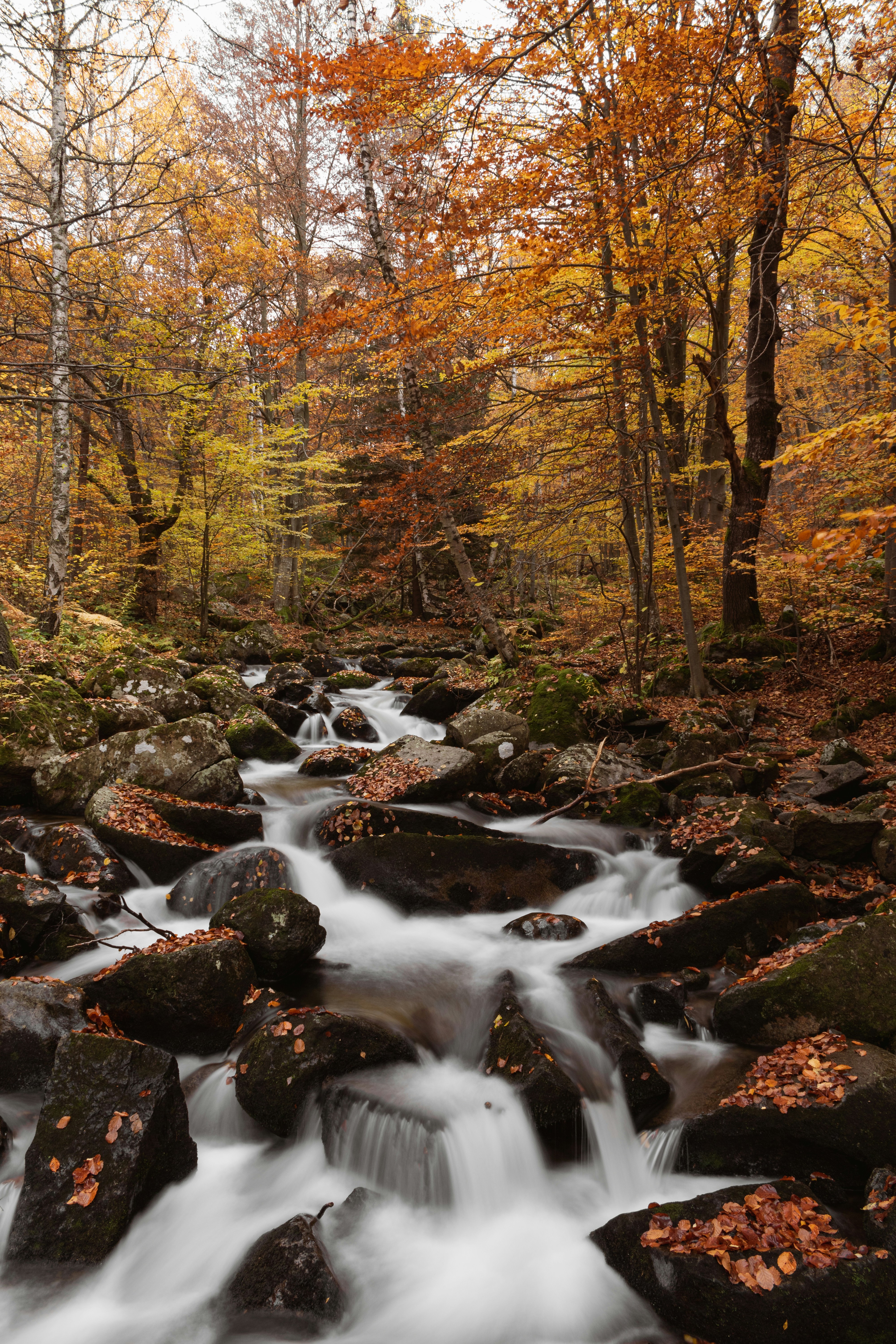 Photo by angelbalashev