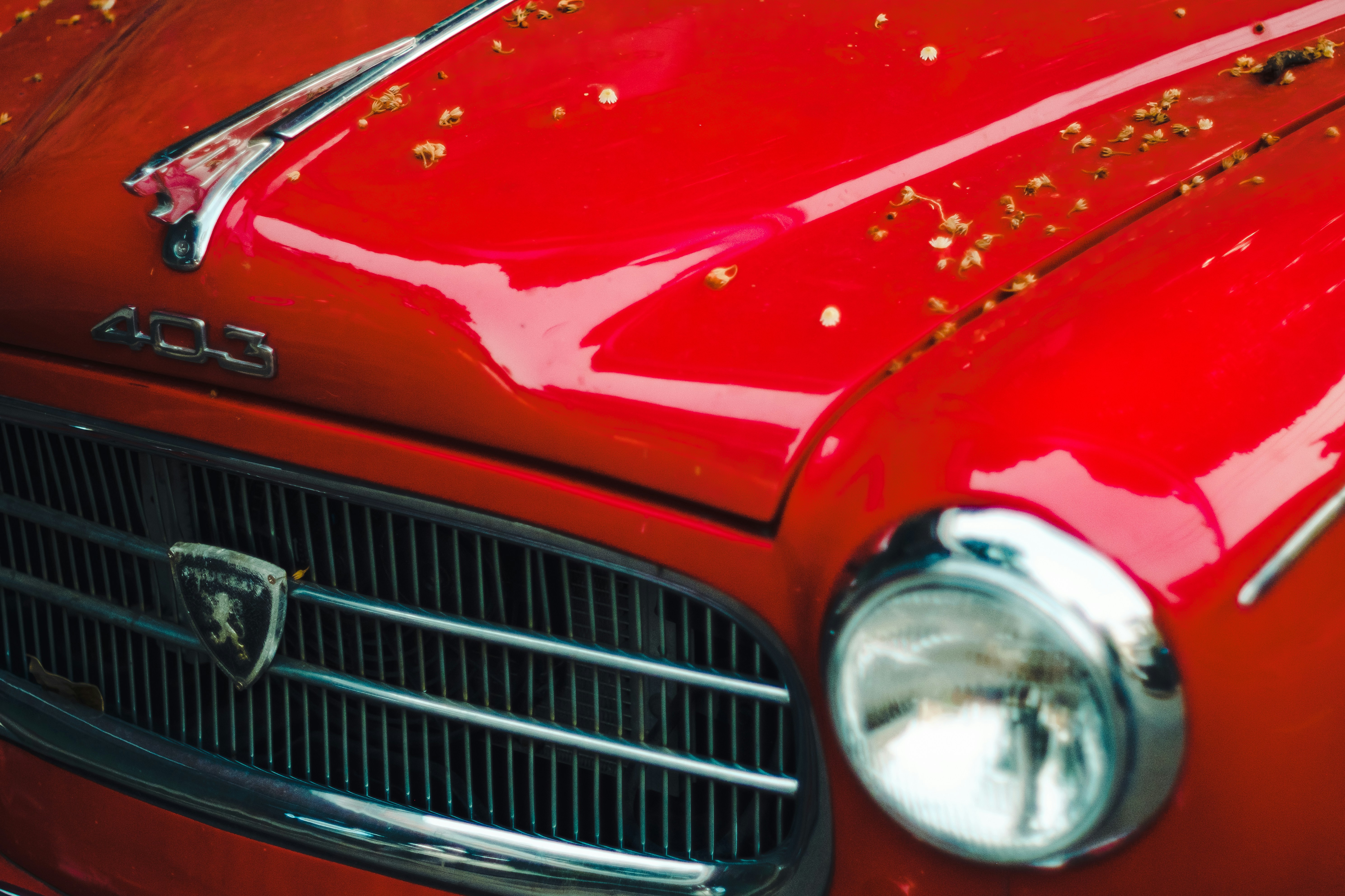 Photo by trunghieu2601