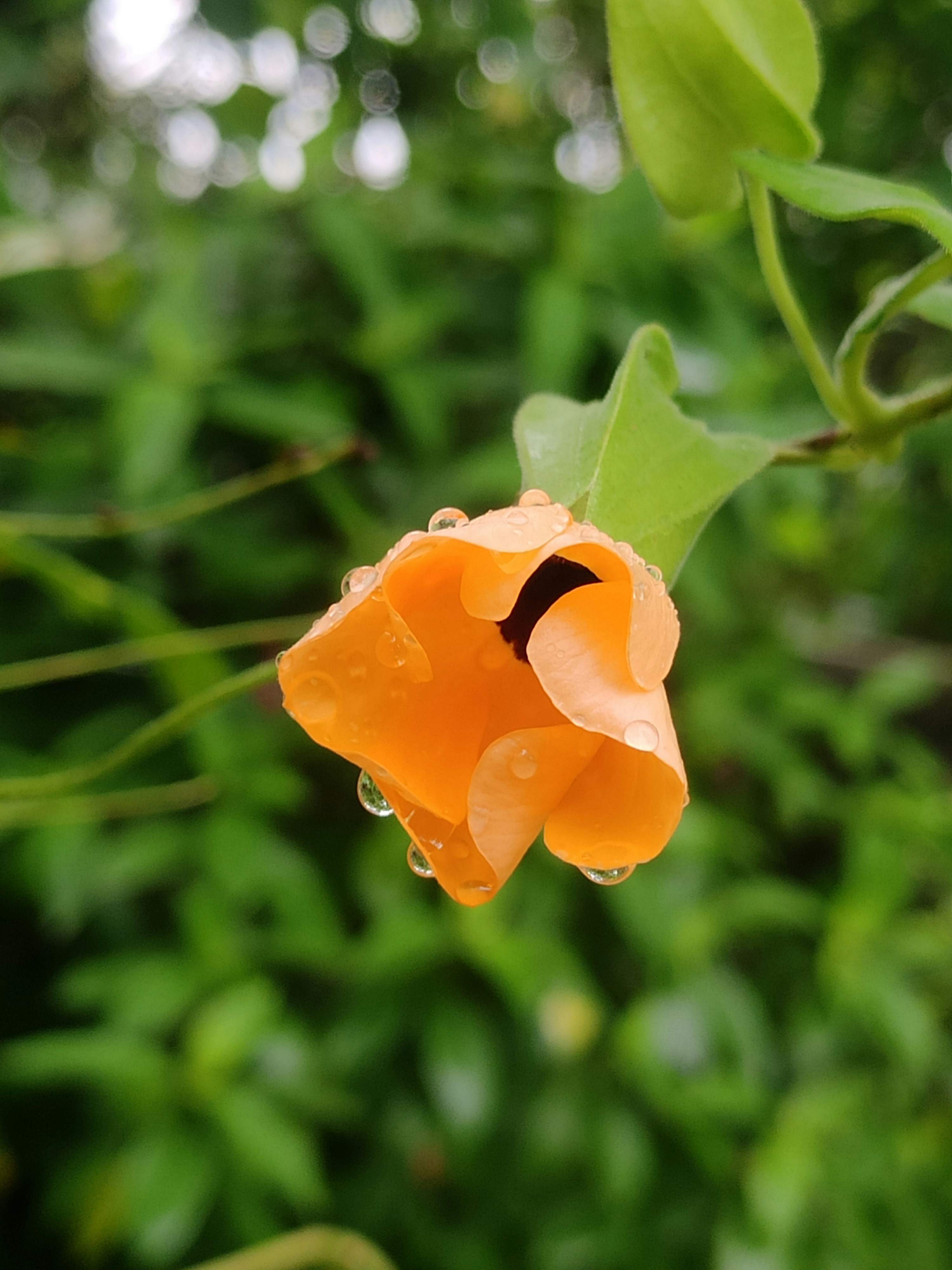 Photo by laavanya_bhattt