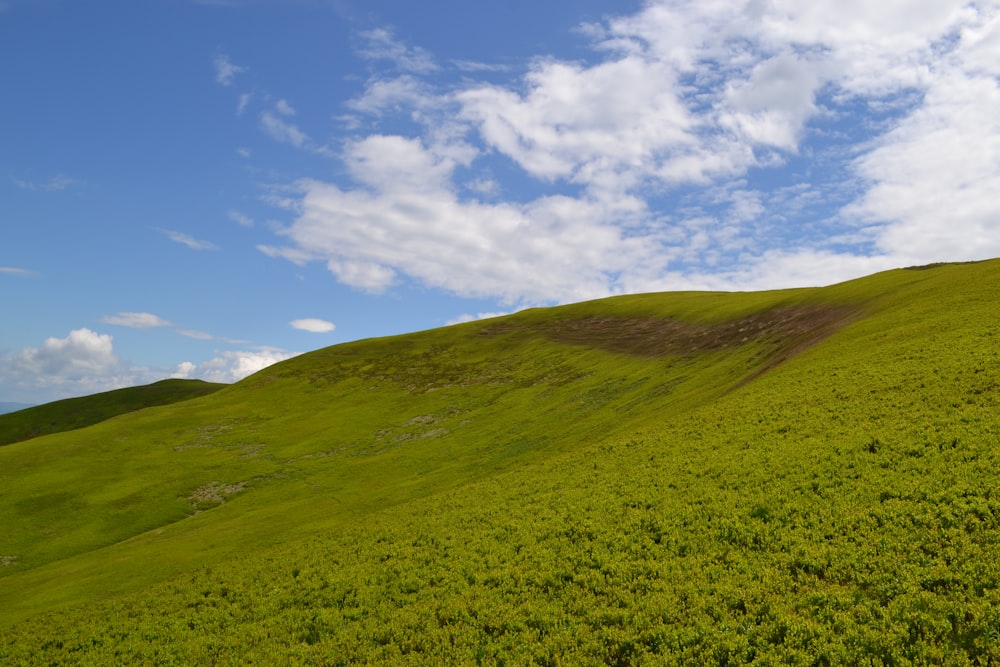 campo de grama verde sob o céu azul durante o dia