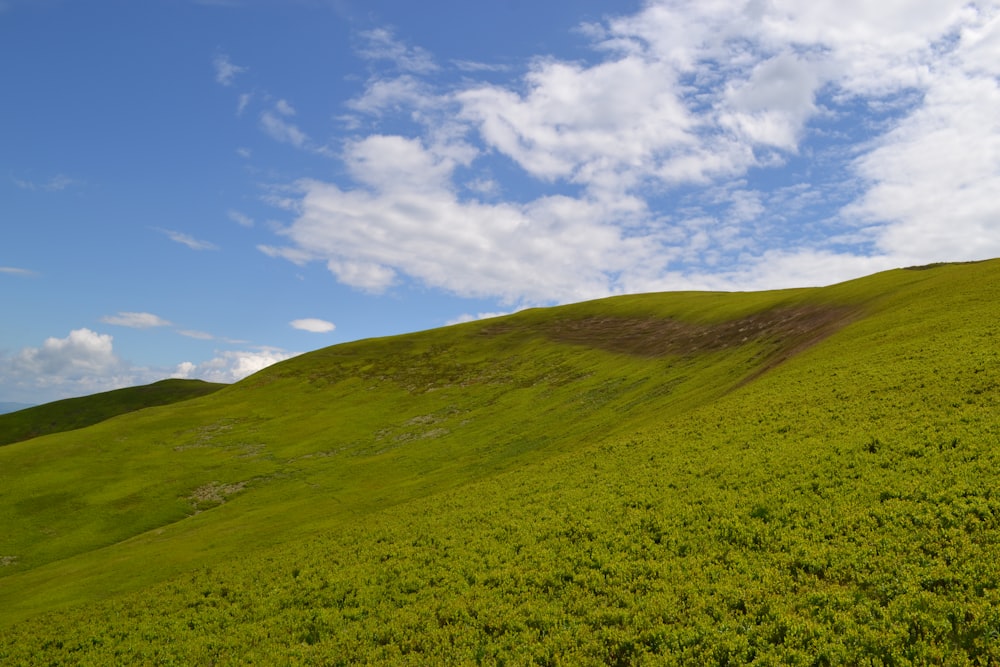 green grass field under blue sky during daytime