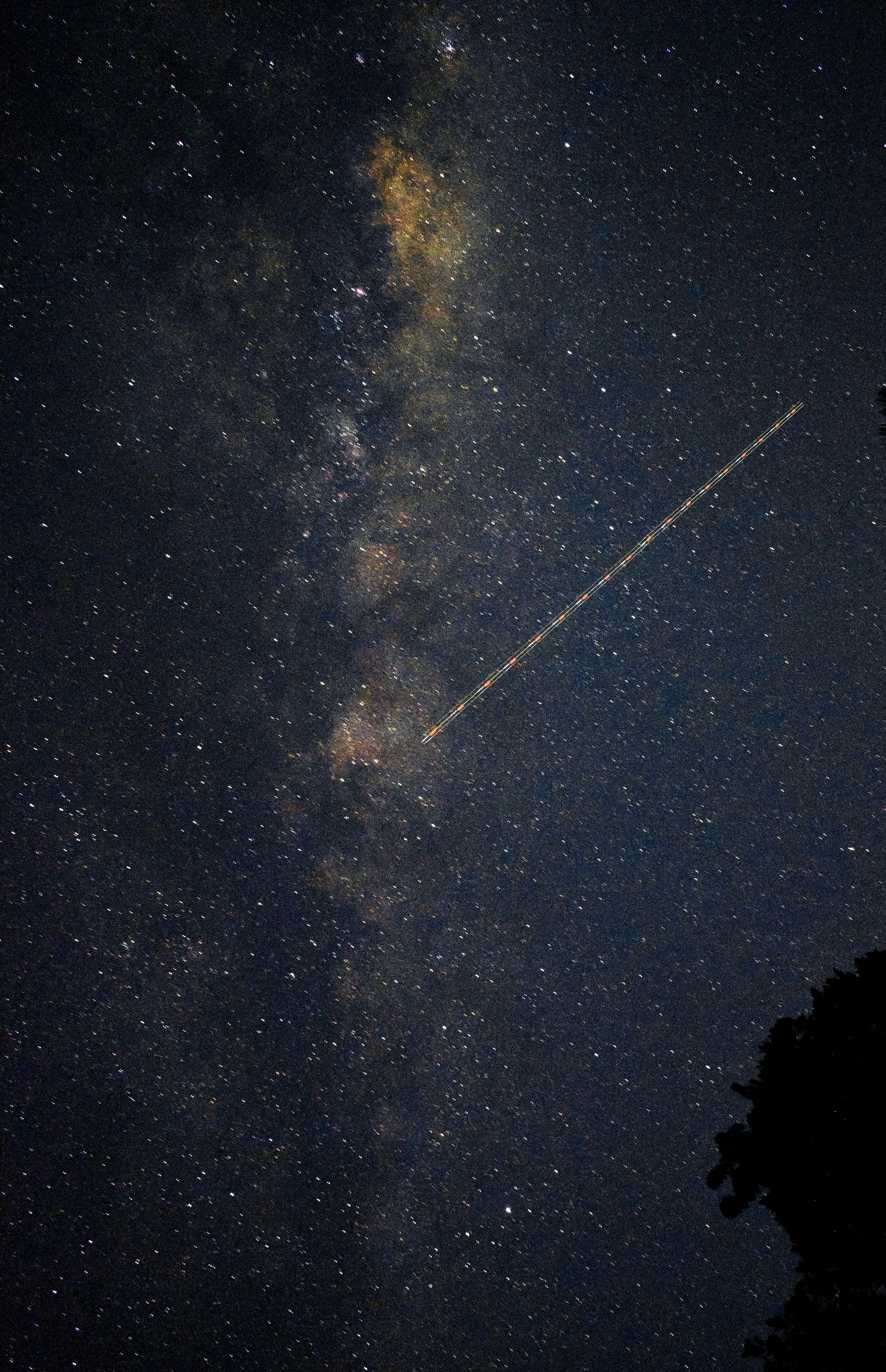 Photo by thealbatrozz