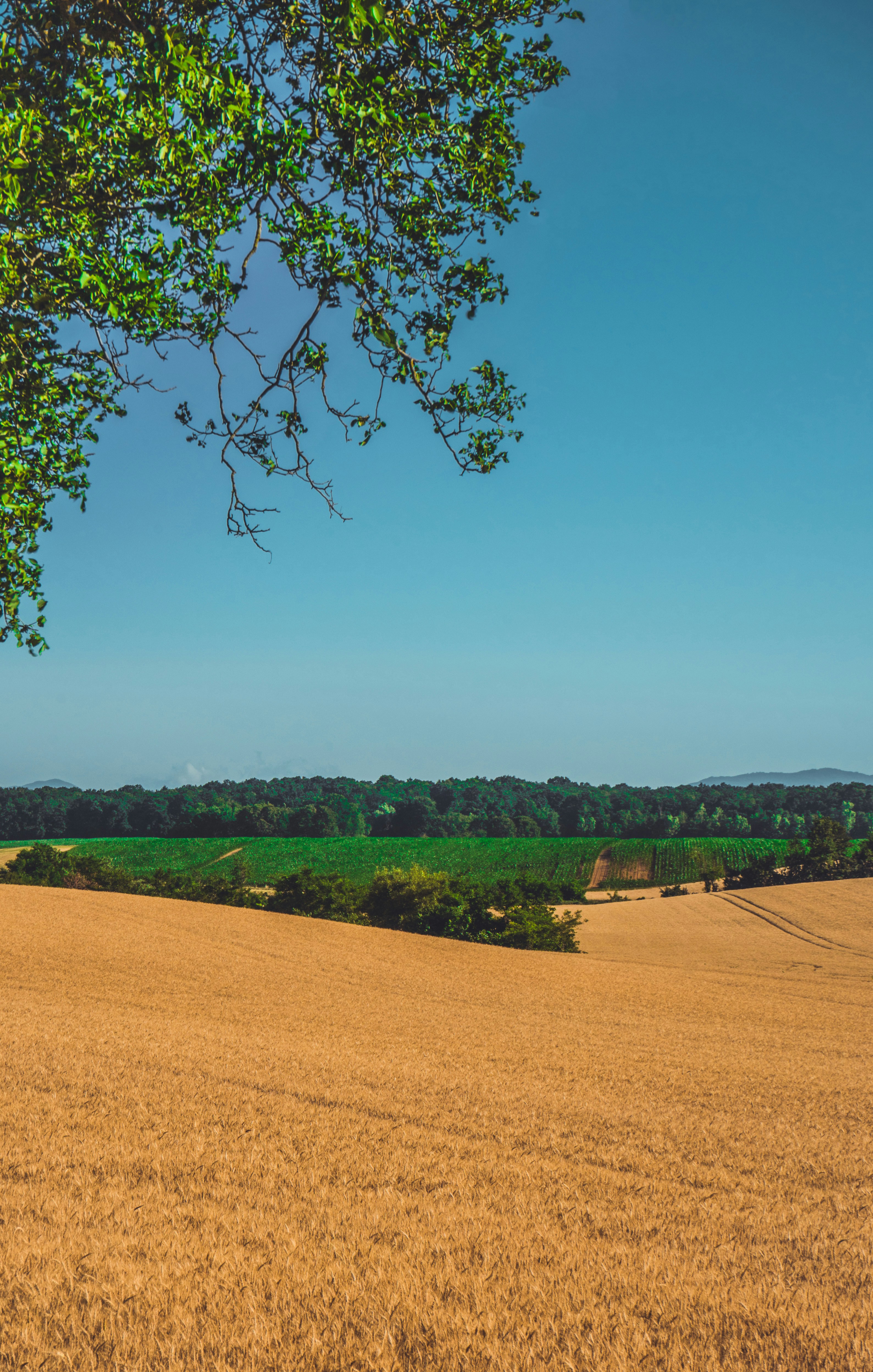 Photo by giovanni1304