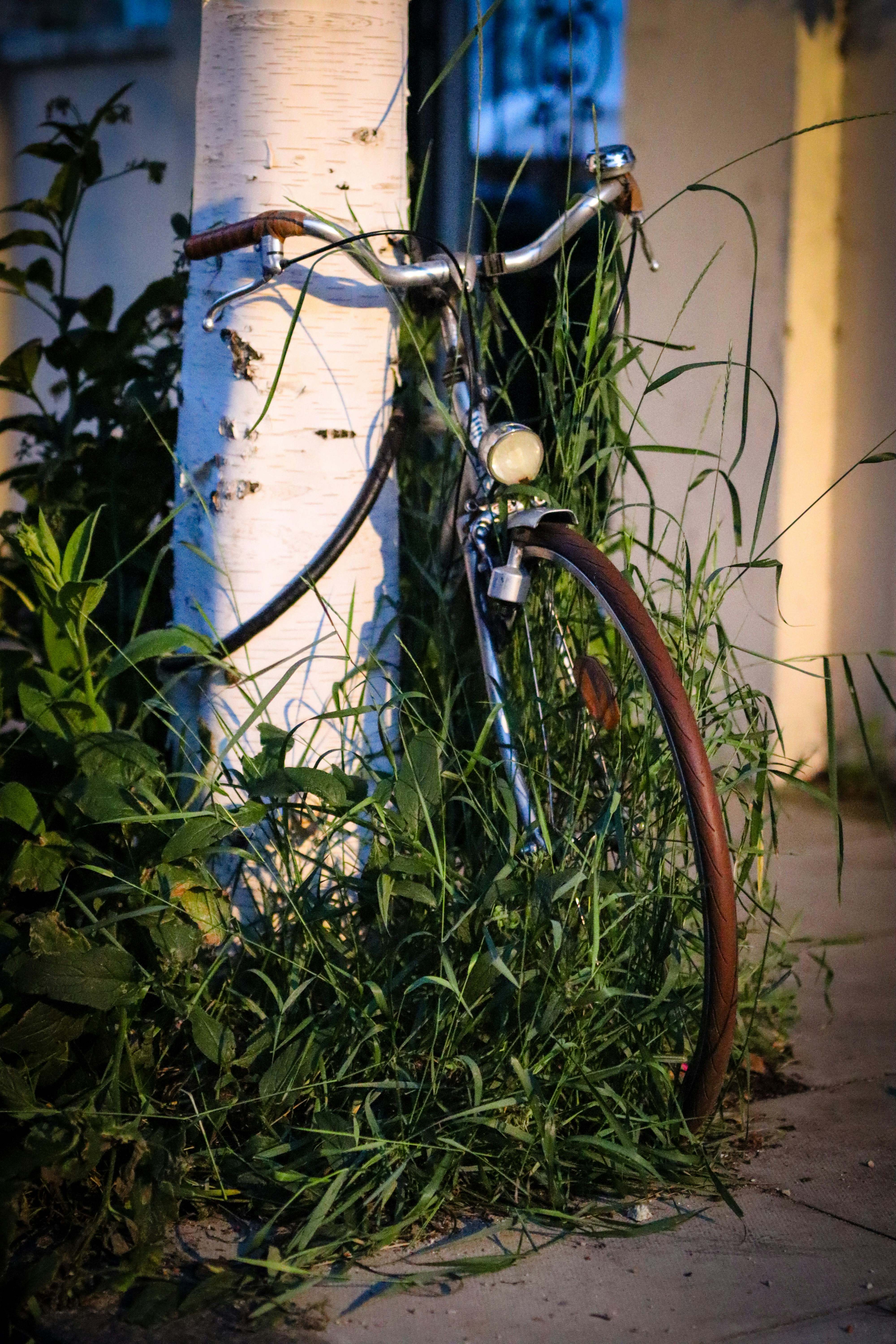 Photo by gabriellenca