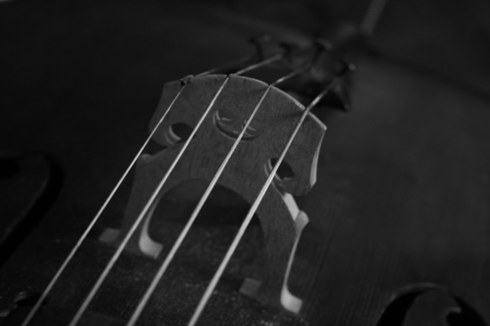 a black and white photo of a violin