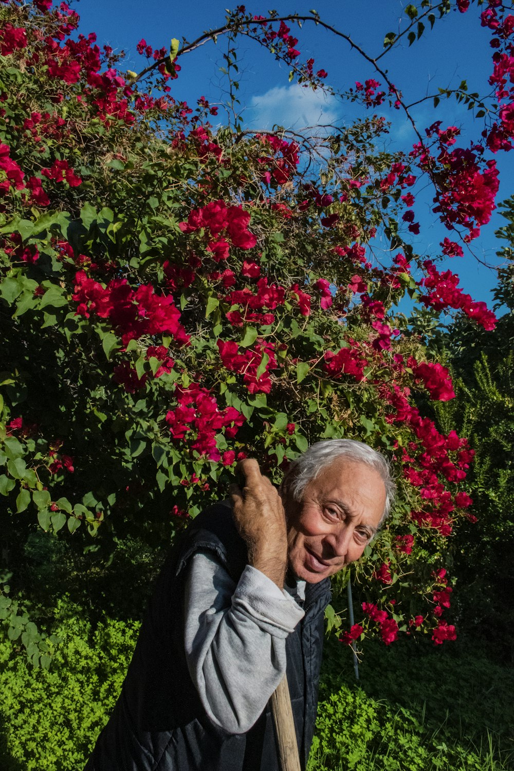 woman in black jacket standing near red flowers