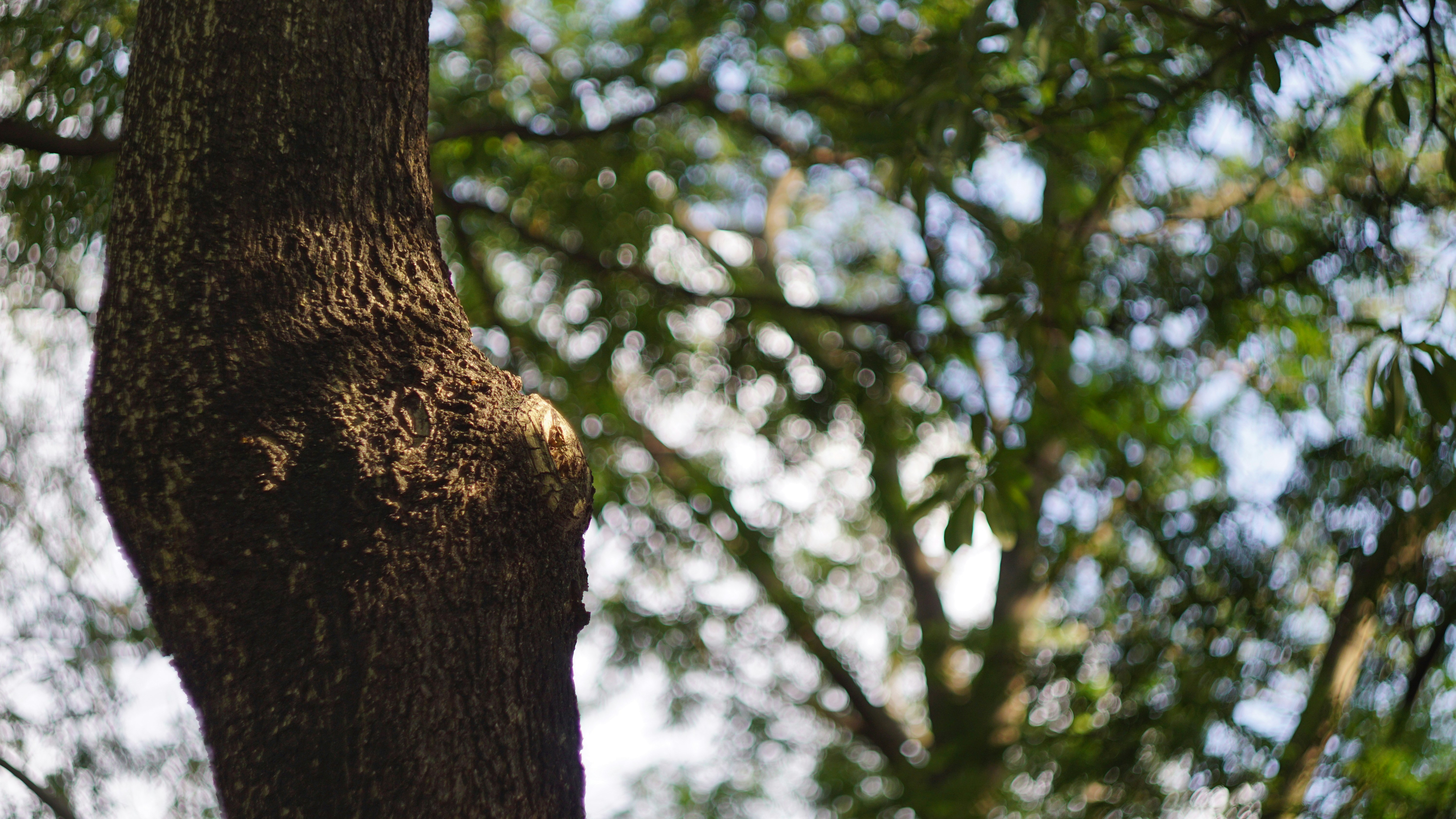 Photo by cindyhwang2020