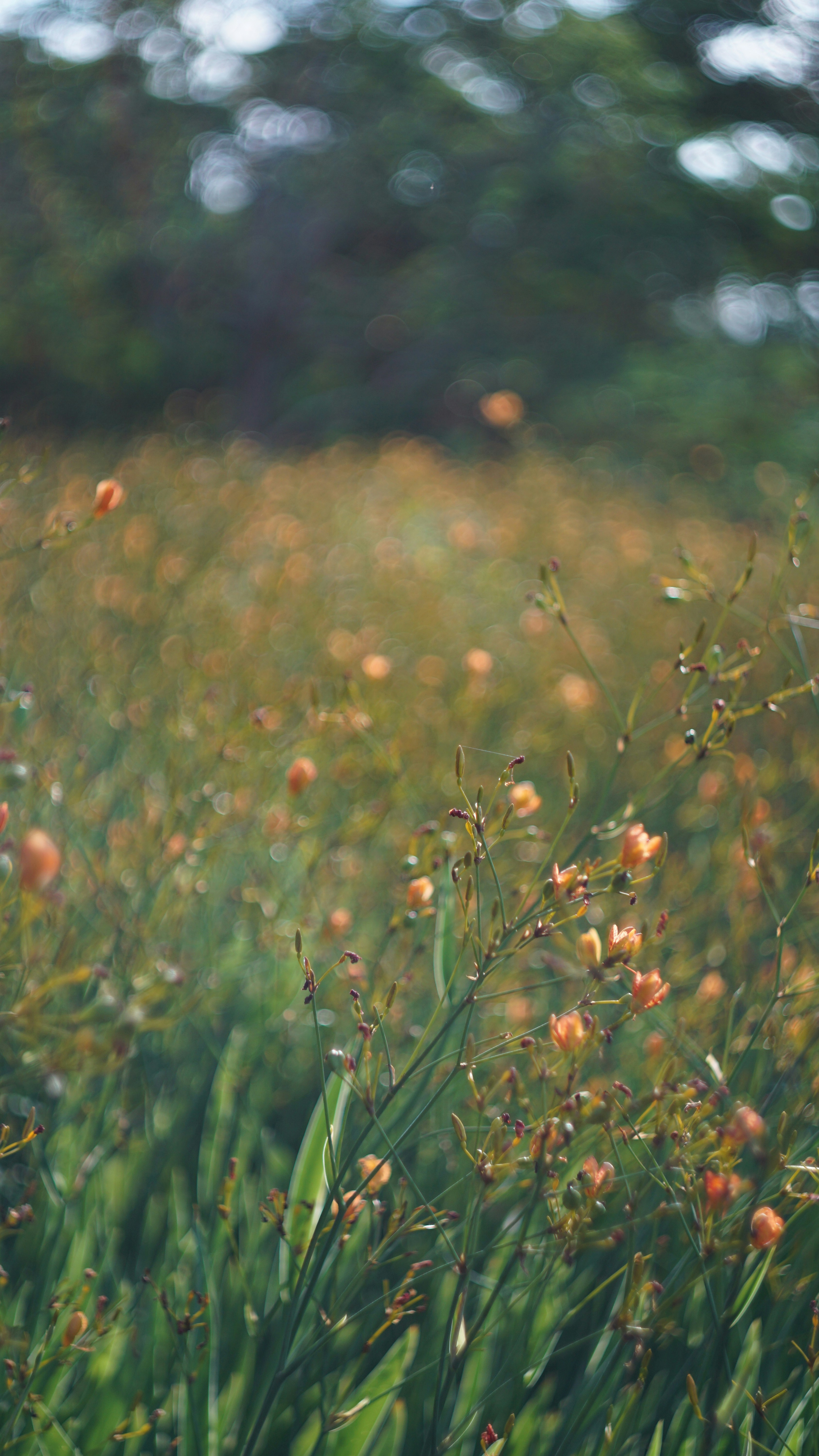 Photo by cindyhwang2020