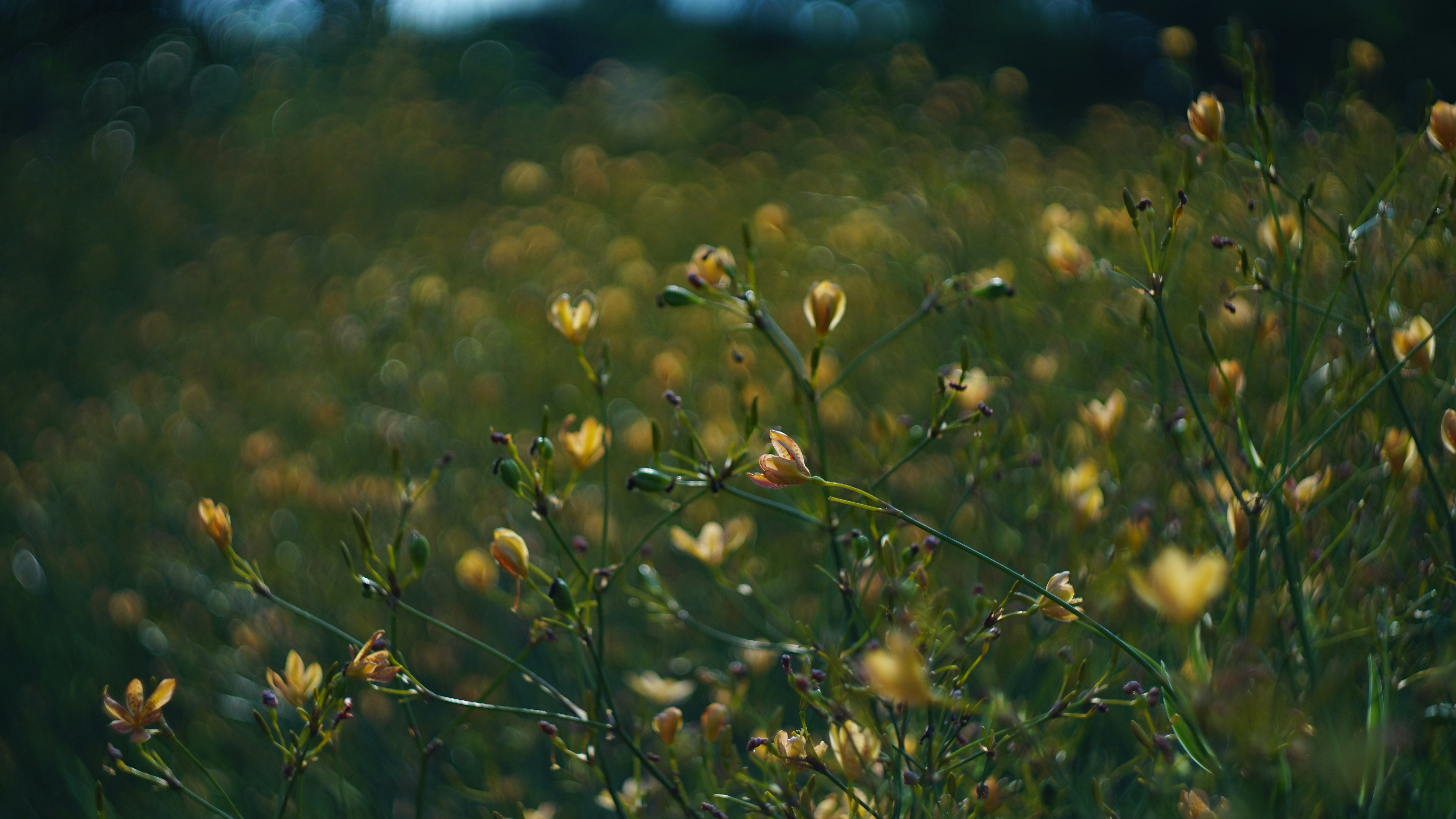 Photo by cindyhwang2020