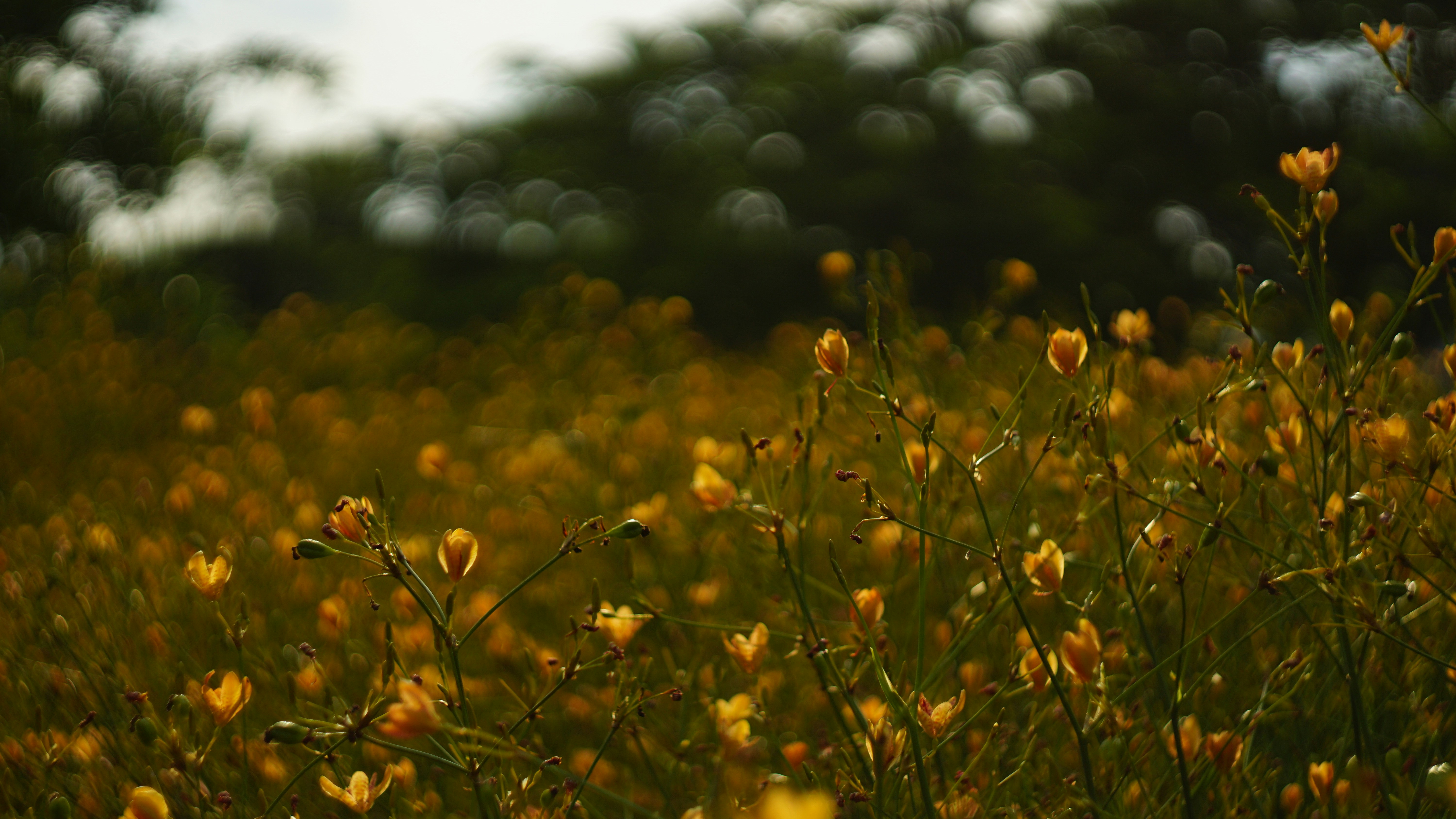 Photo by cindyhwang2020