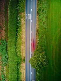 An aerial view of a narrow road flanked by lush green fields and bushes. The word 'SLOW' is painted on the road, and a red vehicle is captured in motion, appearing as a blur due to its speed. A solitary tree is visible beside the road.