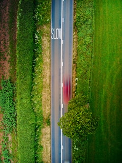 An aerial view of a narrow road flanked by lush green fields and bushes. The word 'SLOW' is painted on the road, and a red vehicle is captured in motion, appearing as a blur due to its speed. A solitary tree is visible beside the road.