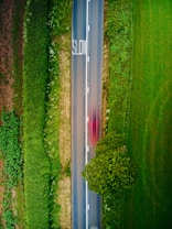 An aerial view of a narrow road flanked by lush green fields and bushes. The word 'SLOW' is painted on the road, and a red vehicle is captured in motion, appearing as a blur due to its speed. A solitary tree is visible beside the road.