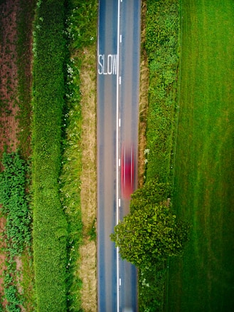 An aerial view of a narrow road flanked by lush green fields and bushes. The word 'SLOW' is painted on the road, and a red vehicle is captured in motion, appearing as a blur due to its speed. A solitary tree is visible beside the road.