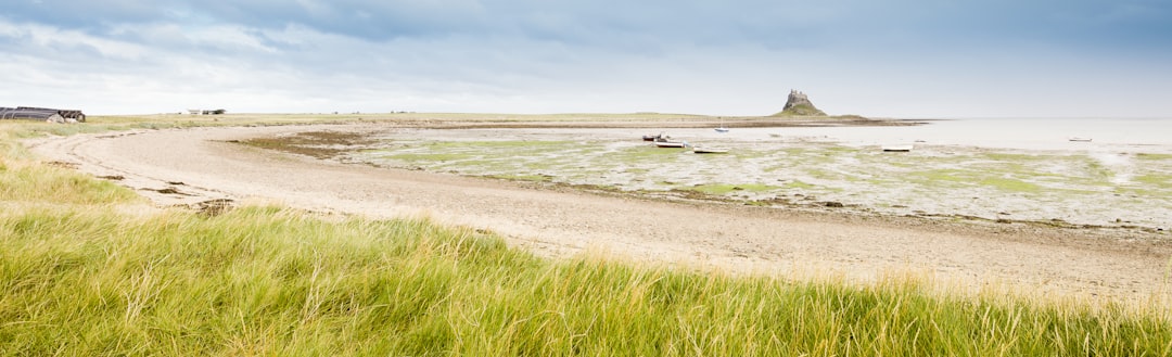 green grass field near sea under blue sky during daytime