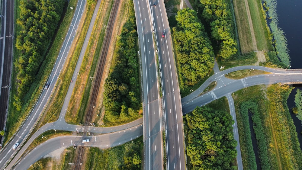 Photographie en accéléré de voitures sur la route entre les arbres pendant la journée