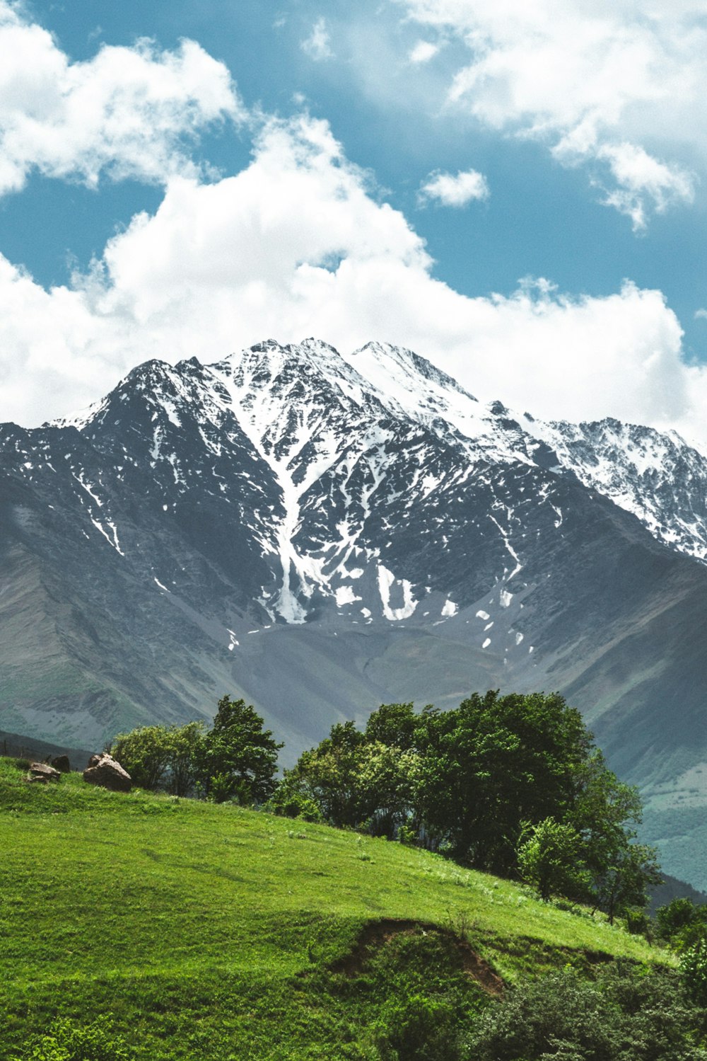 green grass field near snow covered mountain during daytime