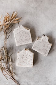 Three rectangular bars of soap with a speckled pattern are arranged on a light gray, textured surface. Two sprigs of dried foliage are placed next to the soap, adding a natural element to the composition.