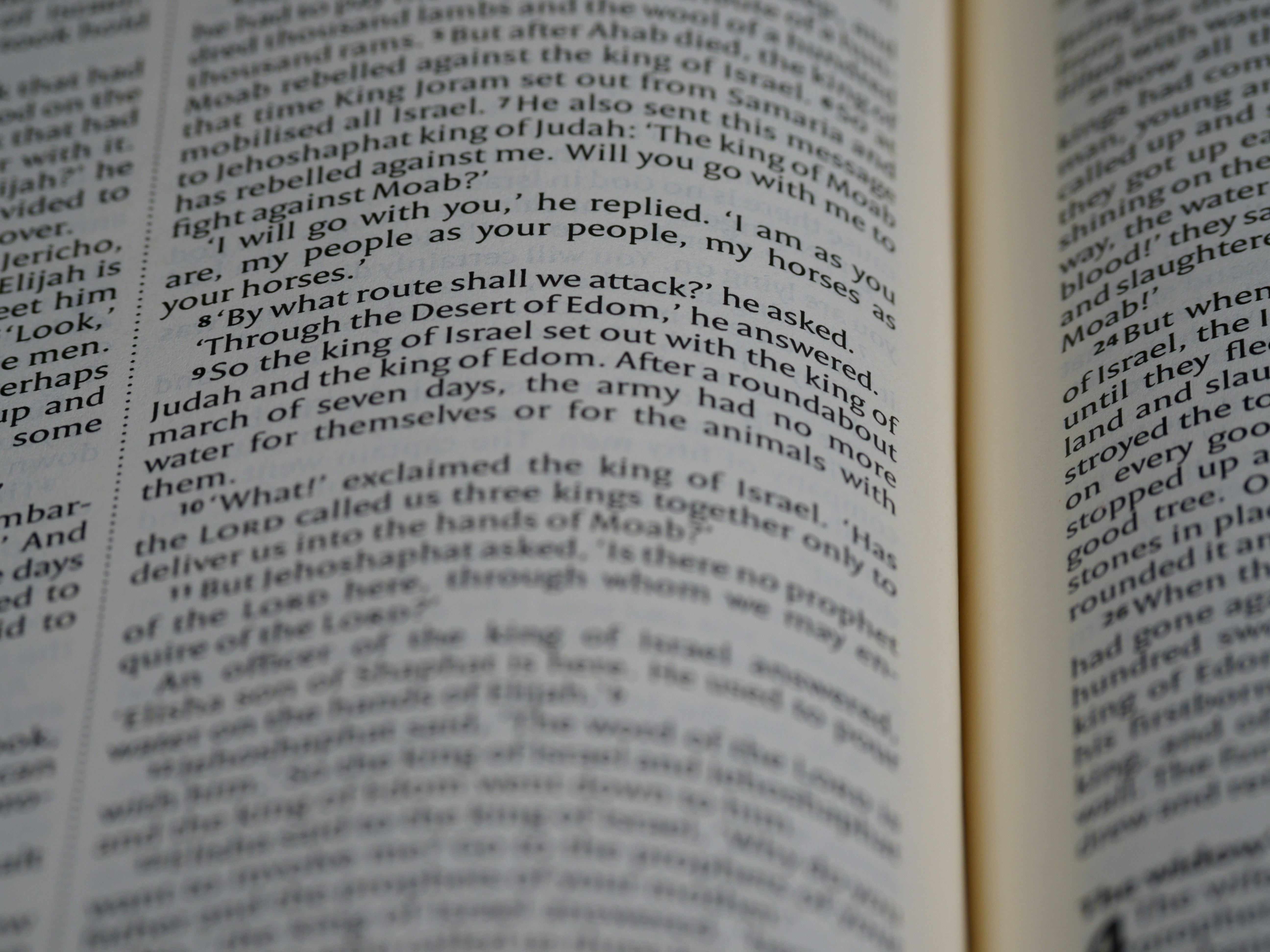 Photo by brett_jordan