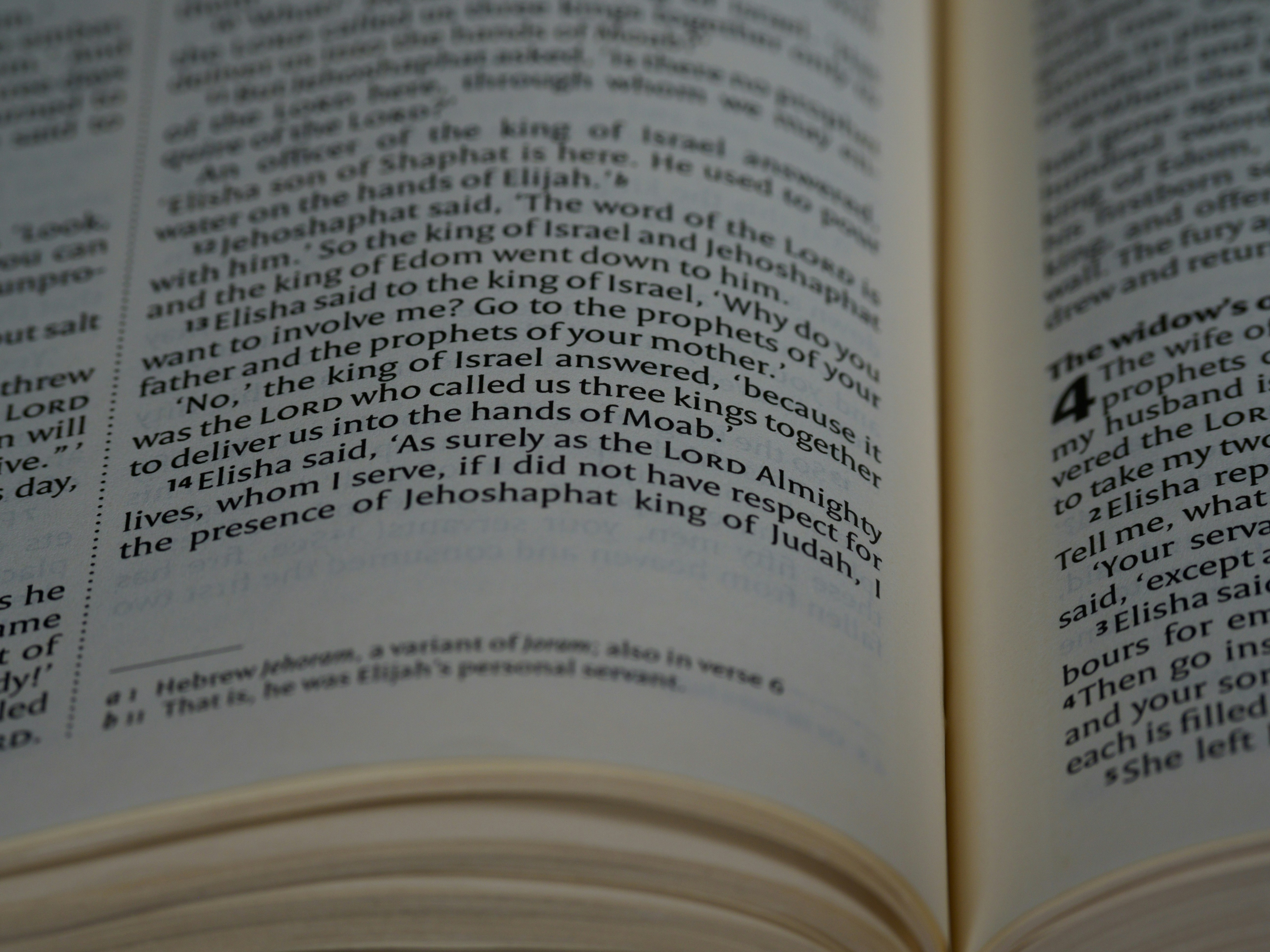 Photo by brett_jordan